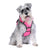 DOOG Neotech Harness