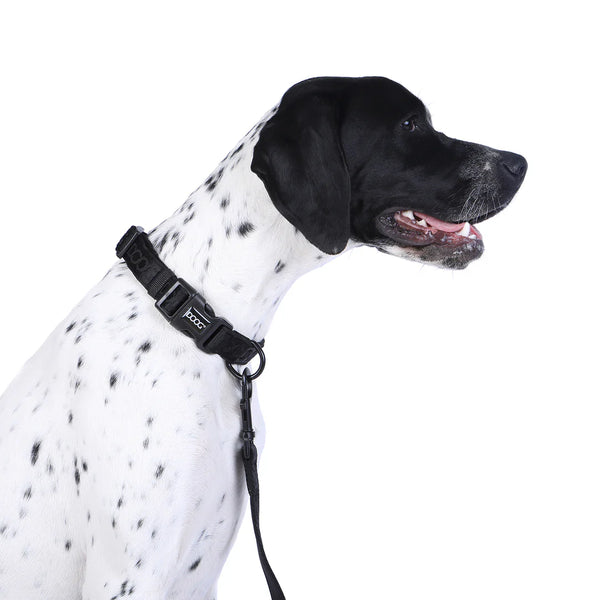 DOOG Neosport Neoprene Dog Collar