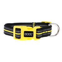 DOOG Neoprene Dog Collar