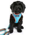 DOOG Neotech Harness