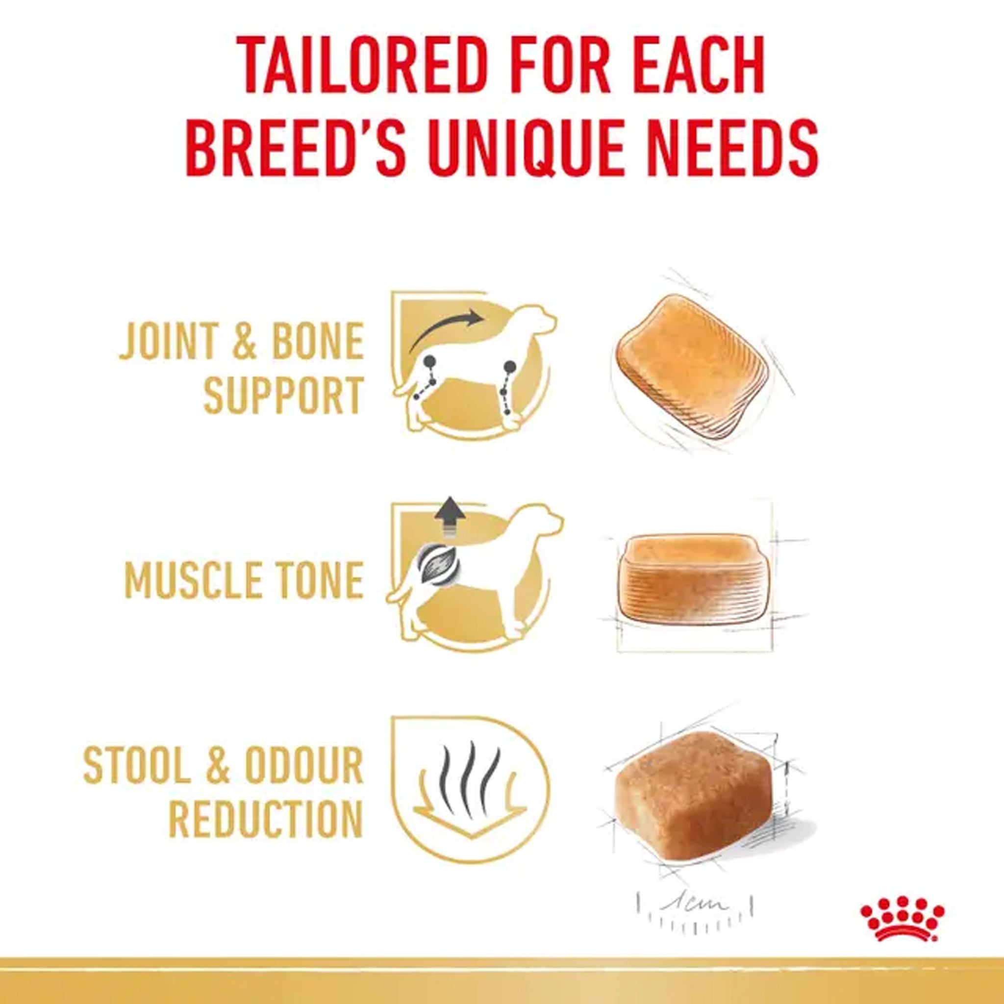Royal Canin Dog Dachshund