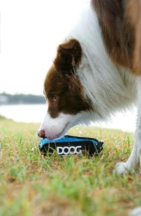 DOOG Foldable Dog Bowl