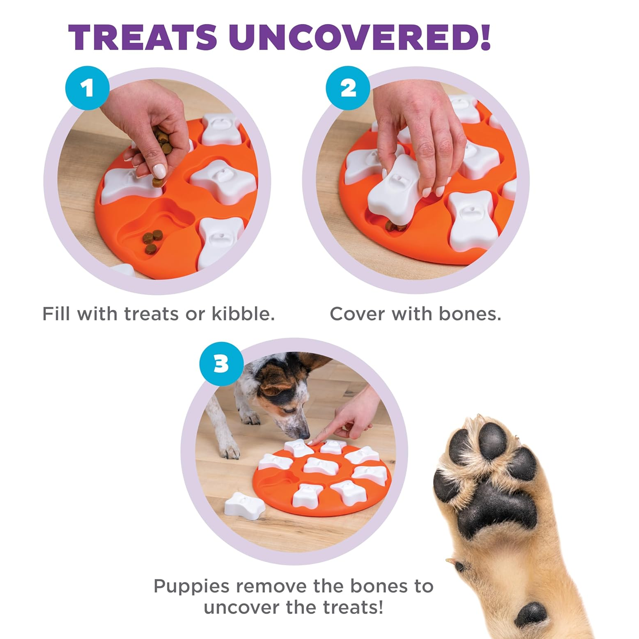 Dog Smart Orange Dog Puzzle