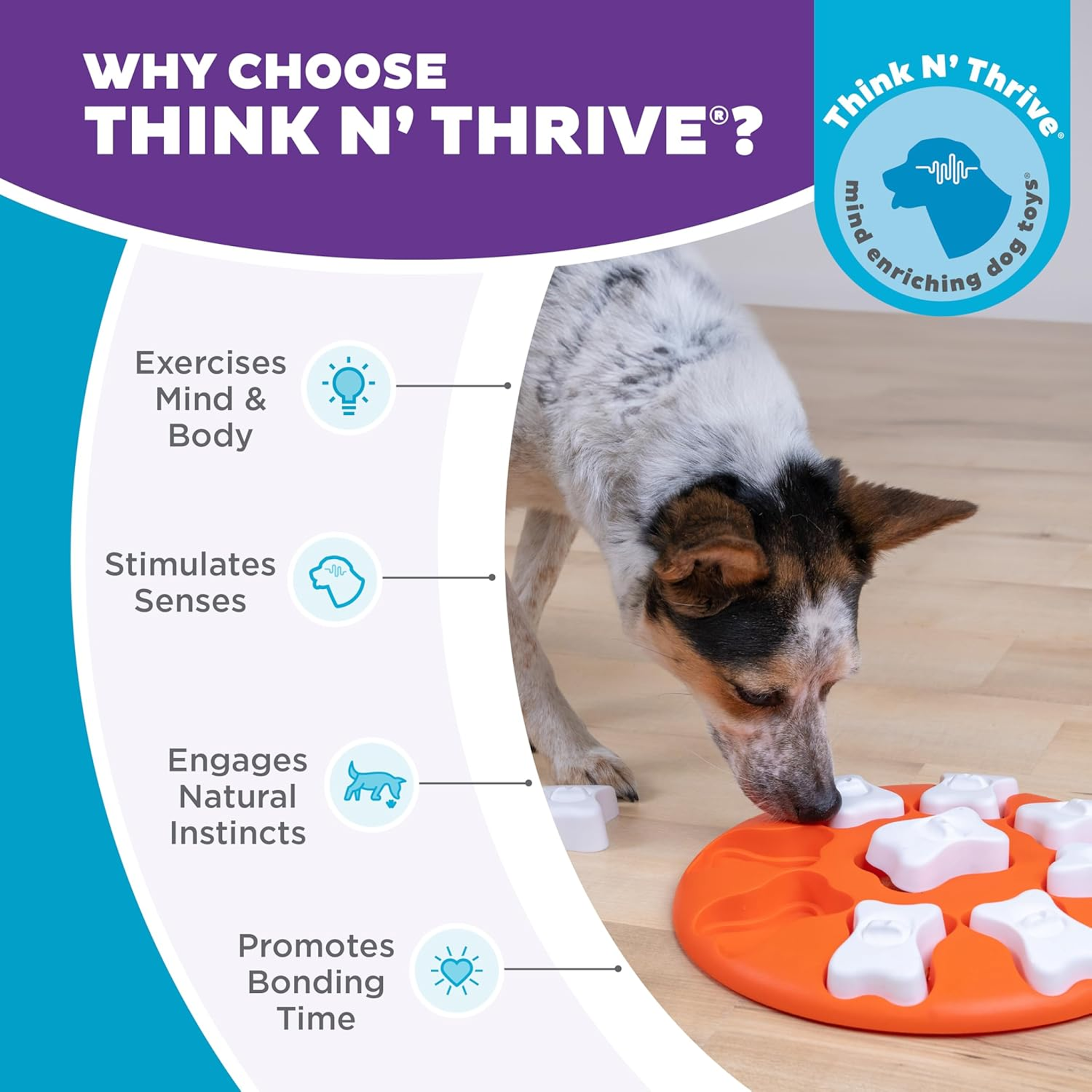 Dog Smart Orange Dog Puzzle