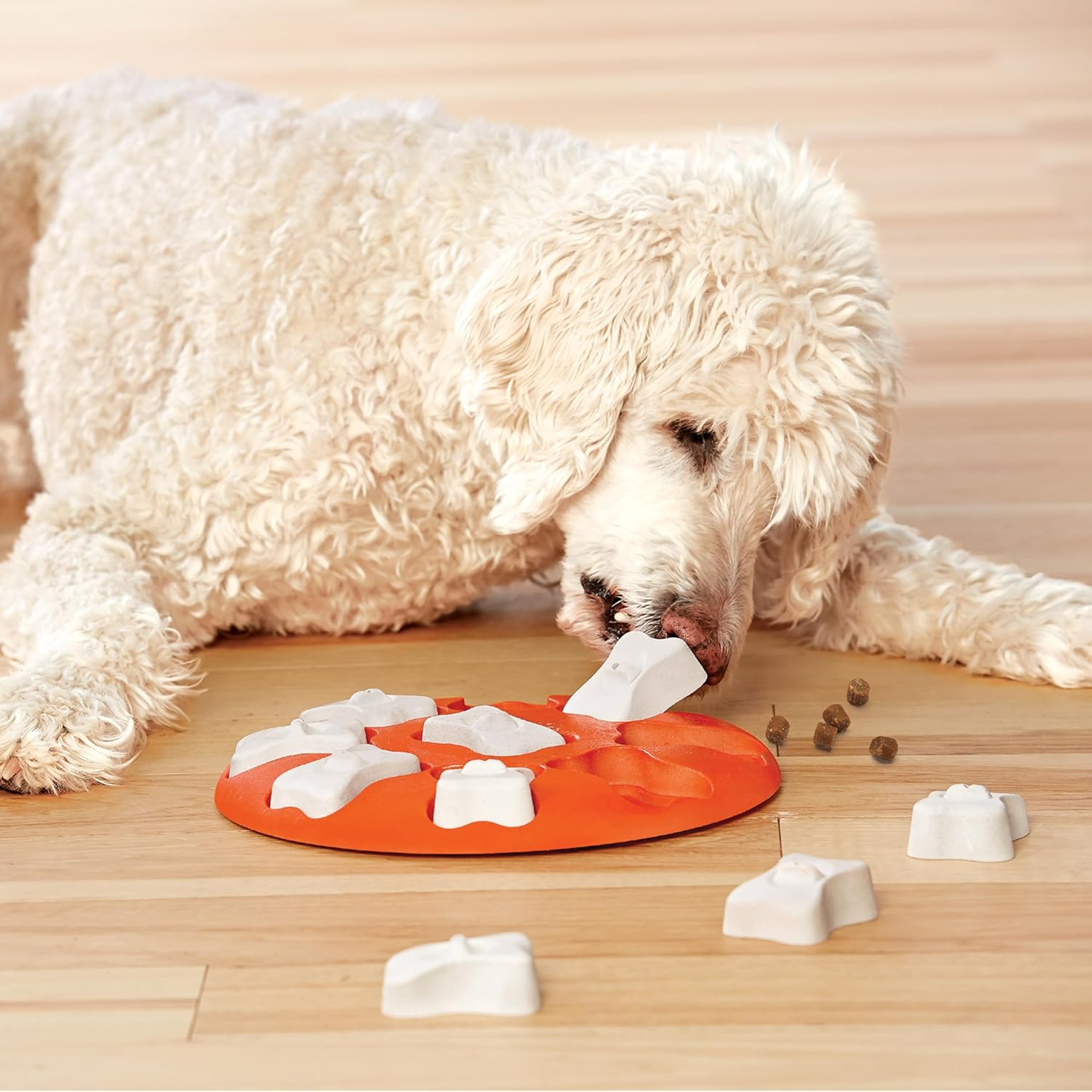Dog Smart Orange Dog Puzzle