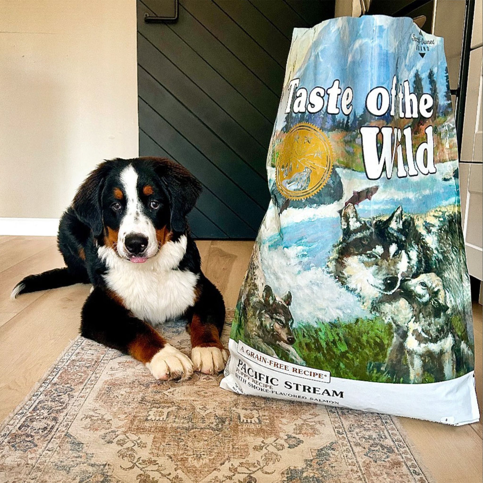 Taste Of The Wild Puppy Dry Dog Food Pacific Stream