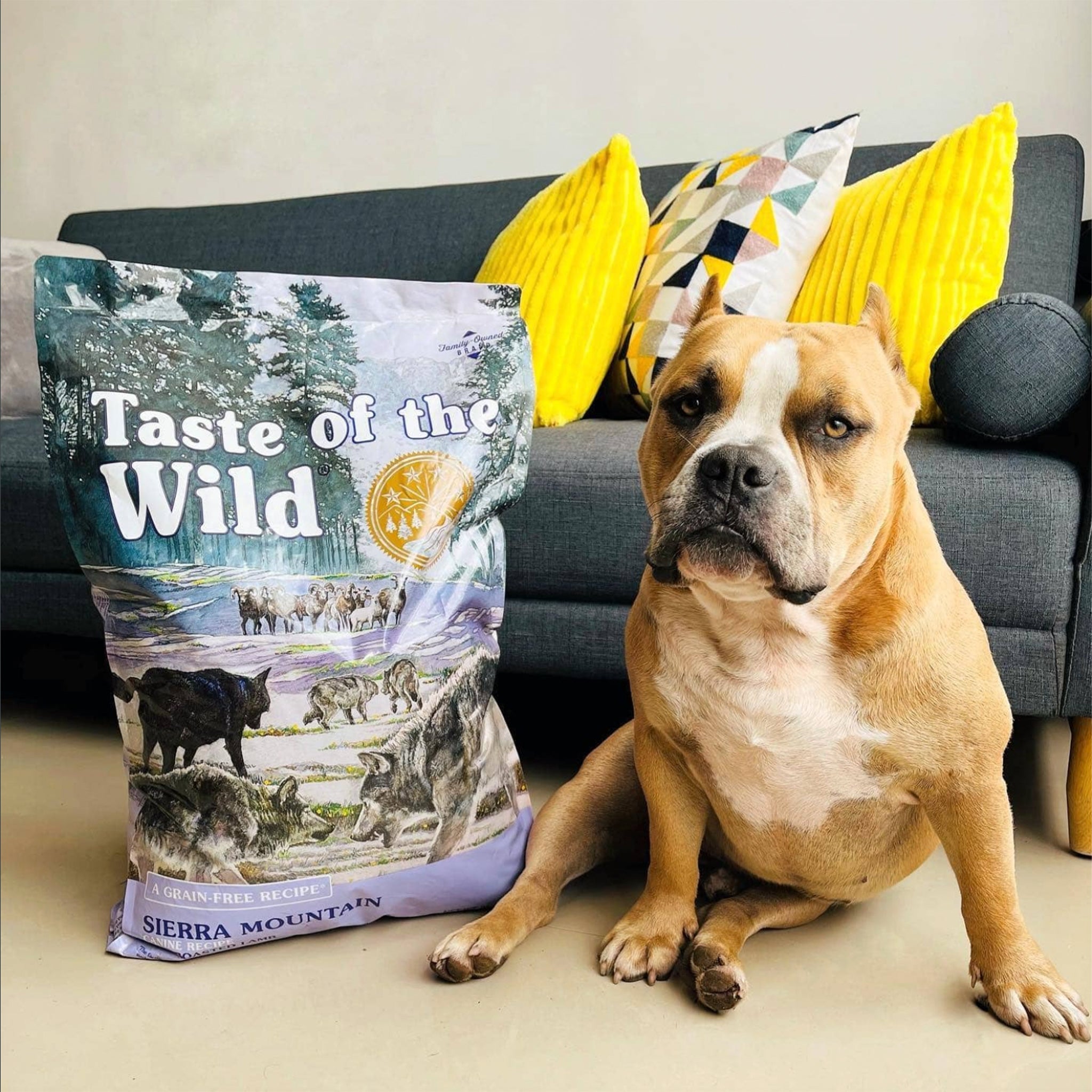 Taste Of The Wild Adult Dry Dog Food Sierra Mountain