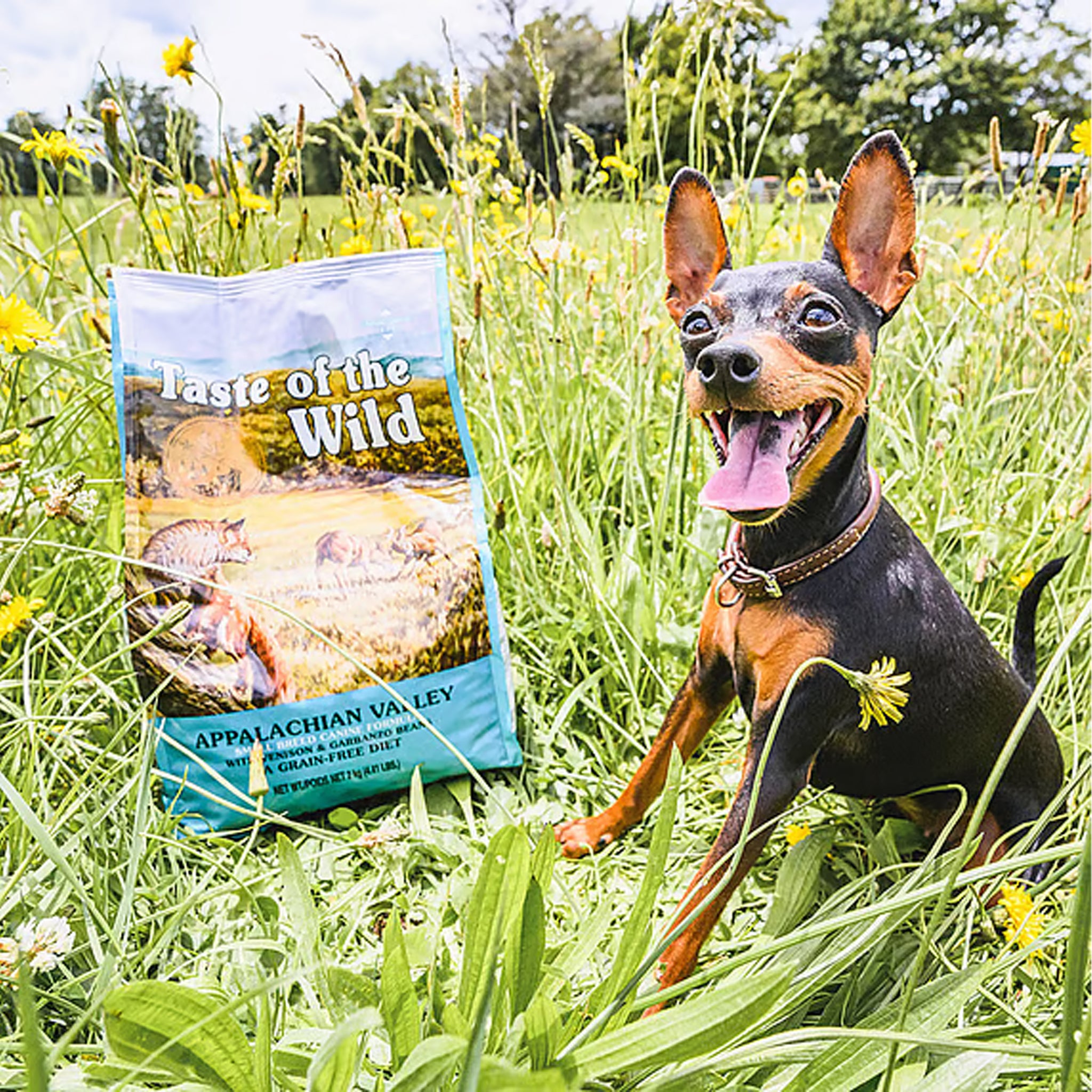Taste Of The Wild Small Breed Dry Dog Food Appalachian Valley