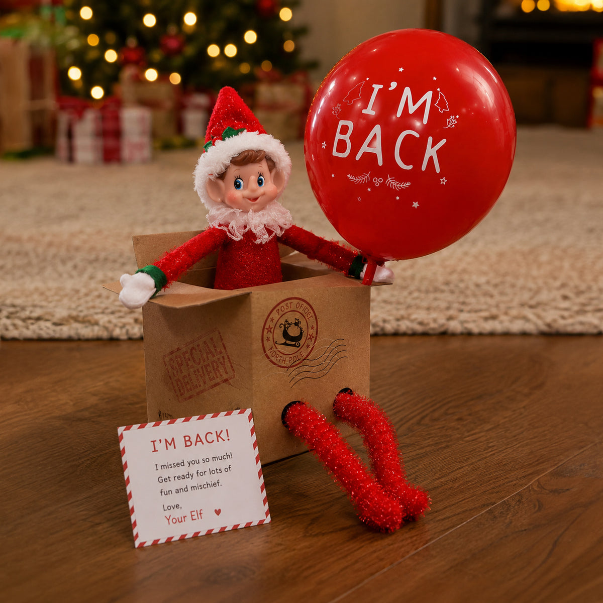 Elf Arrival Box Kit