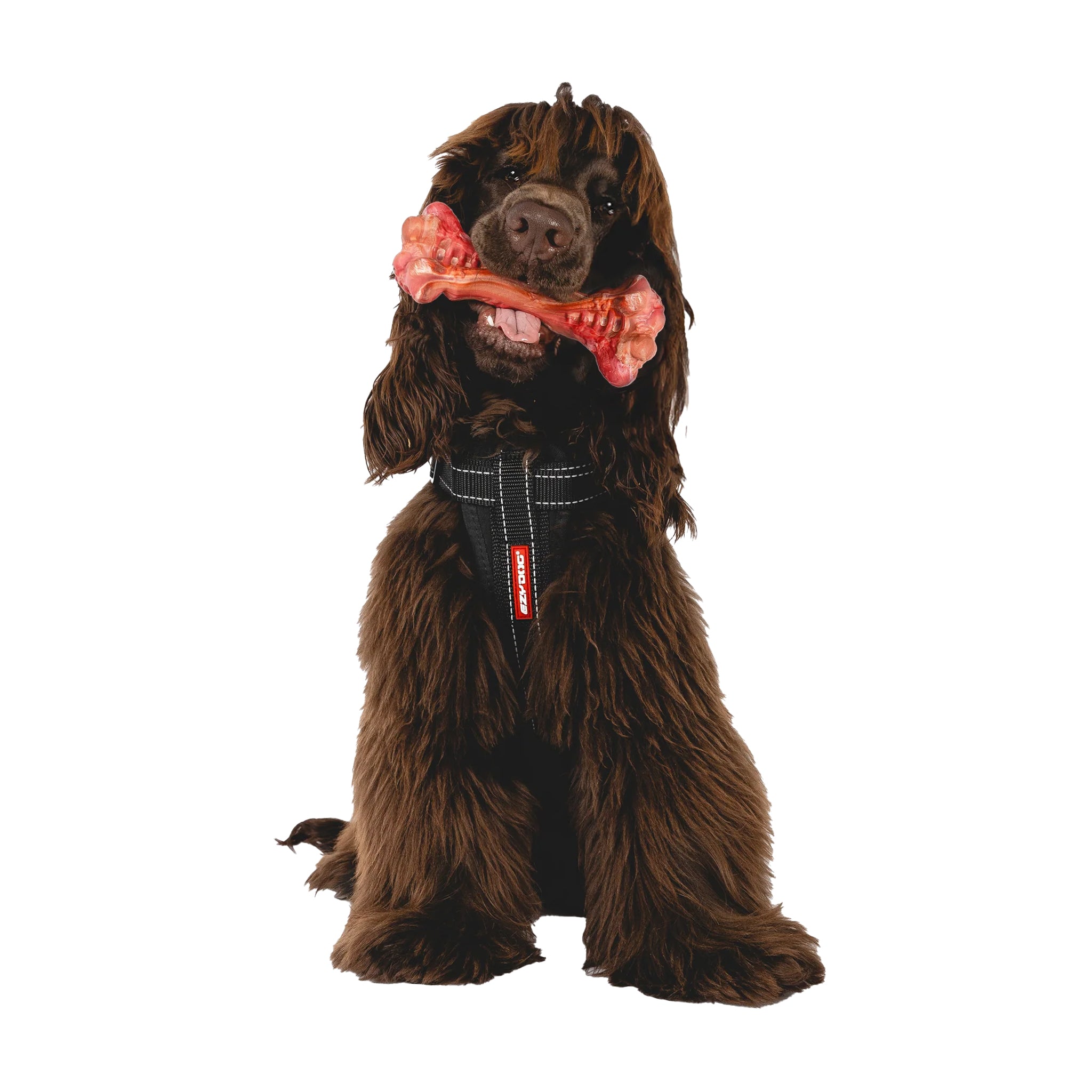 EzyDog EzyBones Durable Chew Toy