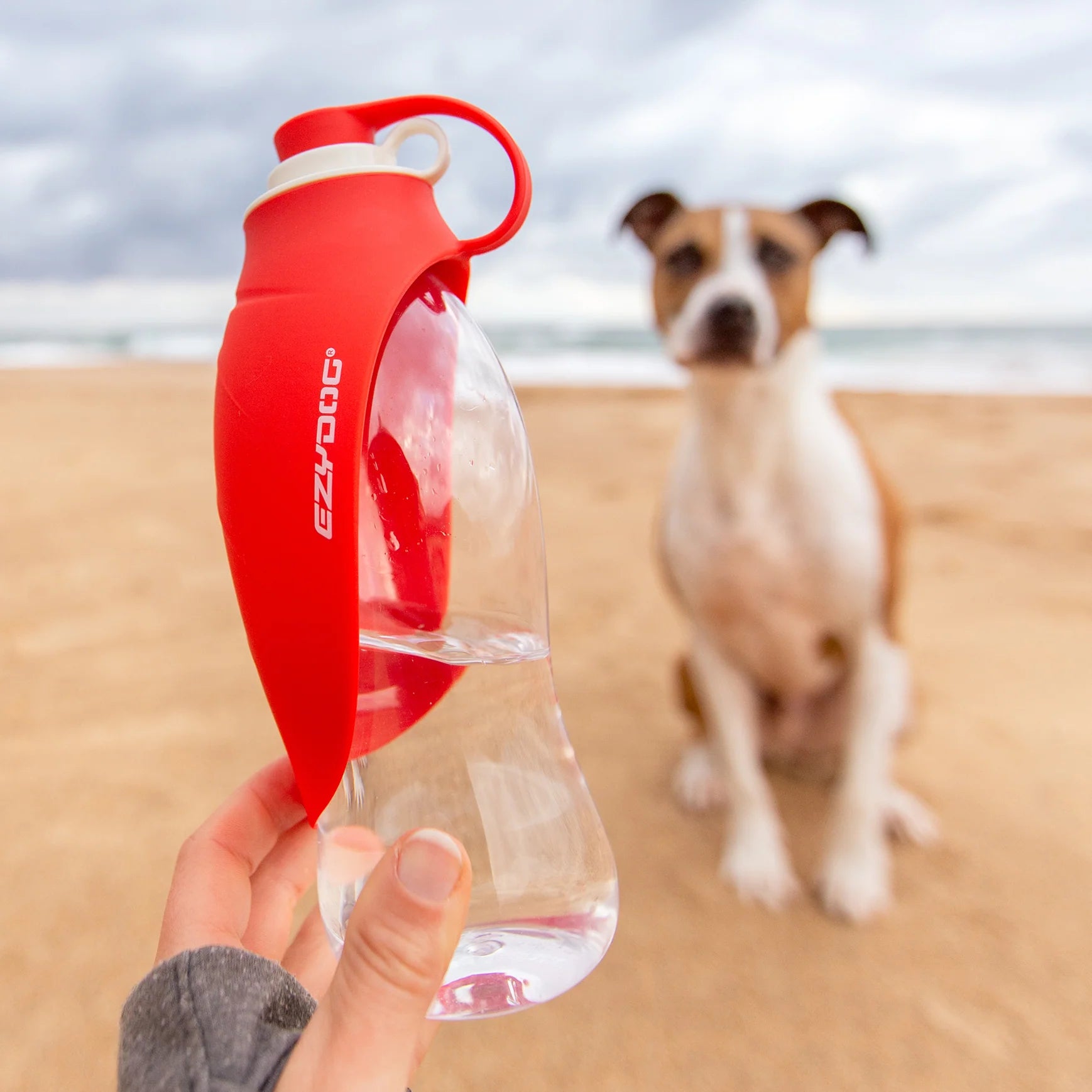 EzyDog Leaf Dog Water Bottle 600ml - Red