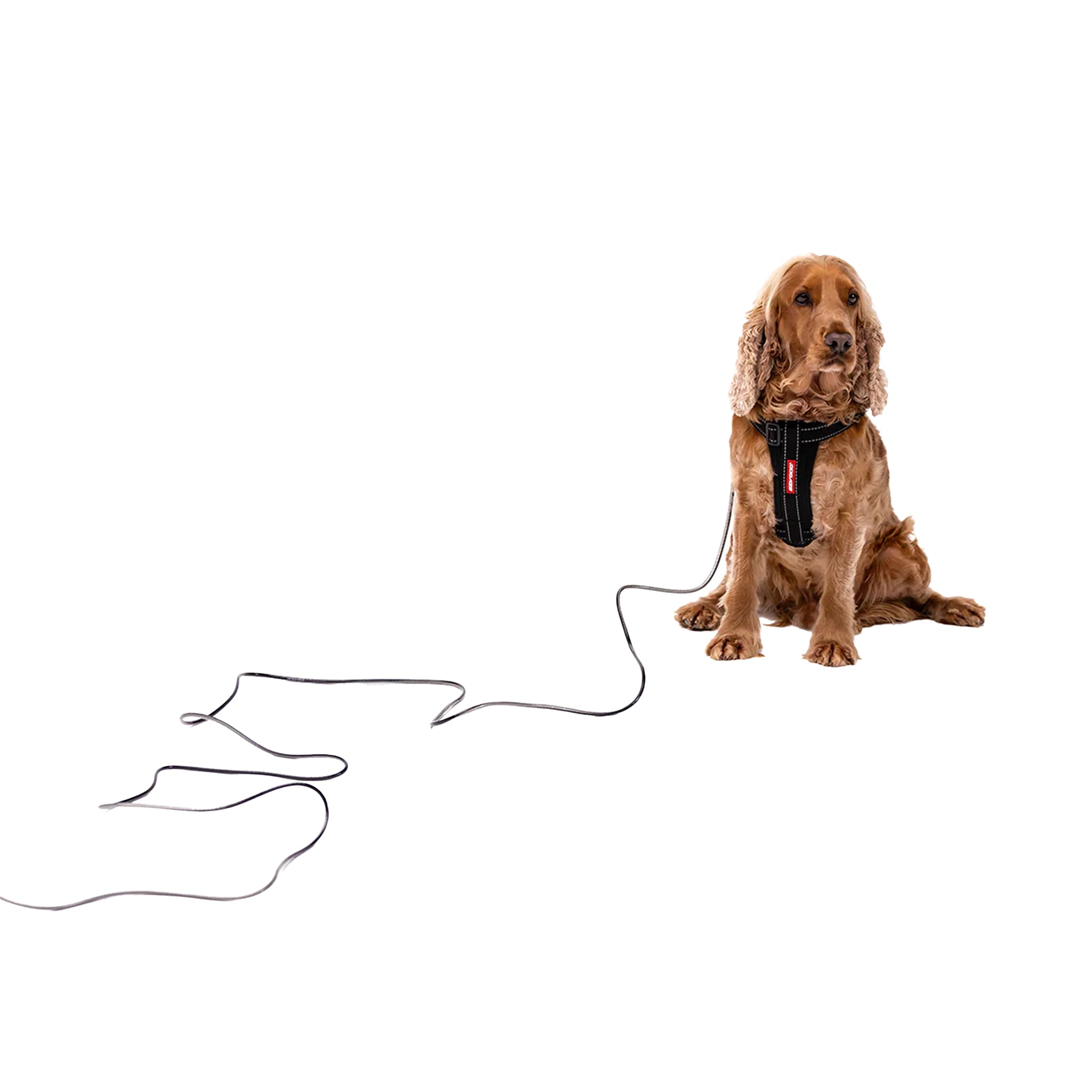 EzyDog Track n Train Slimline Dog Leash