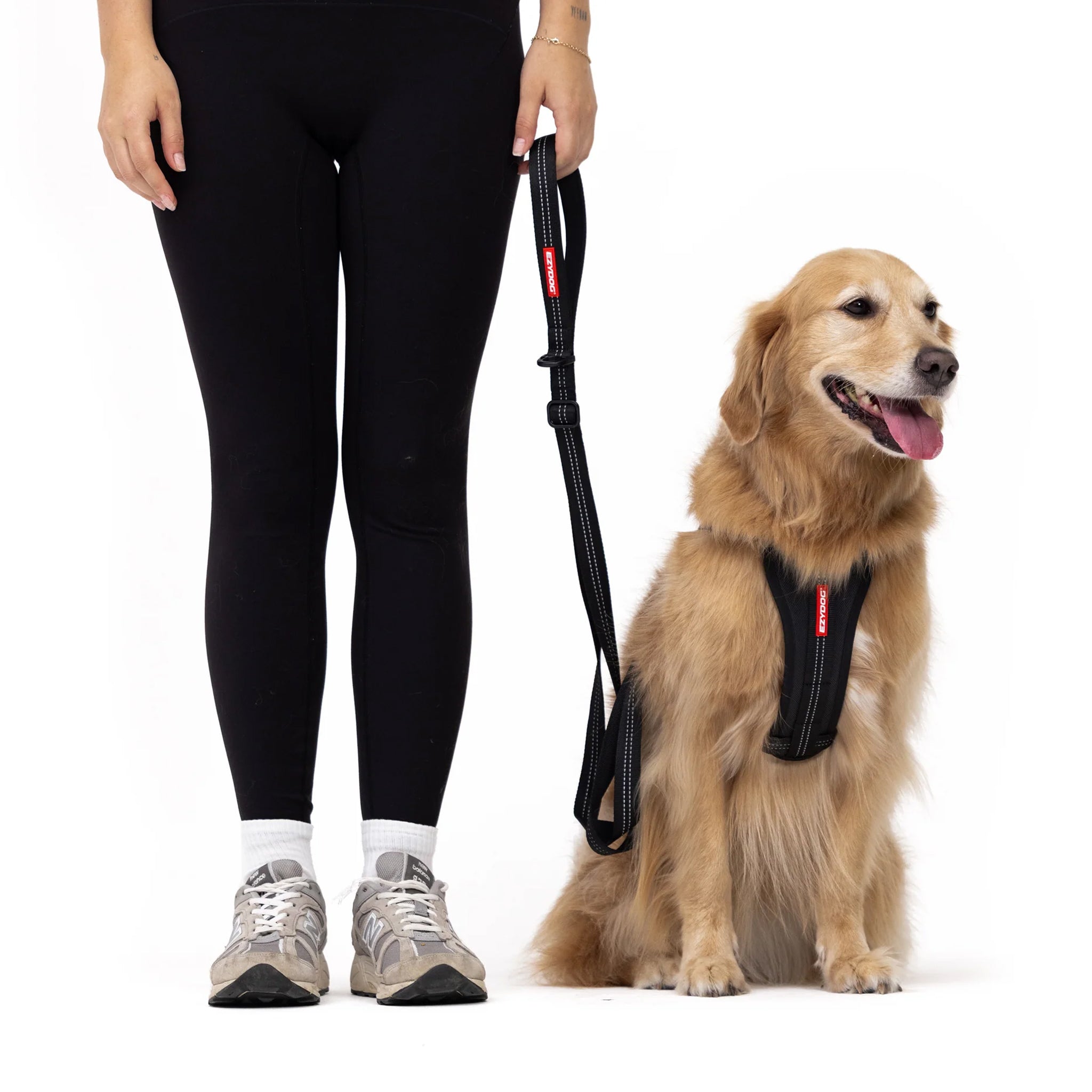 EzyDog Essential Dog Leash