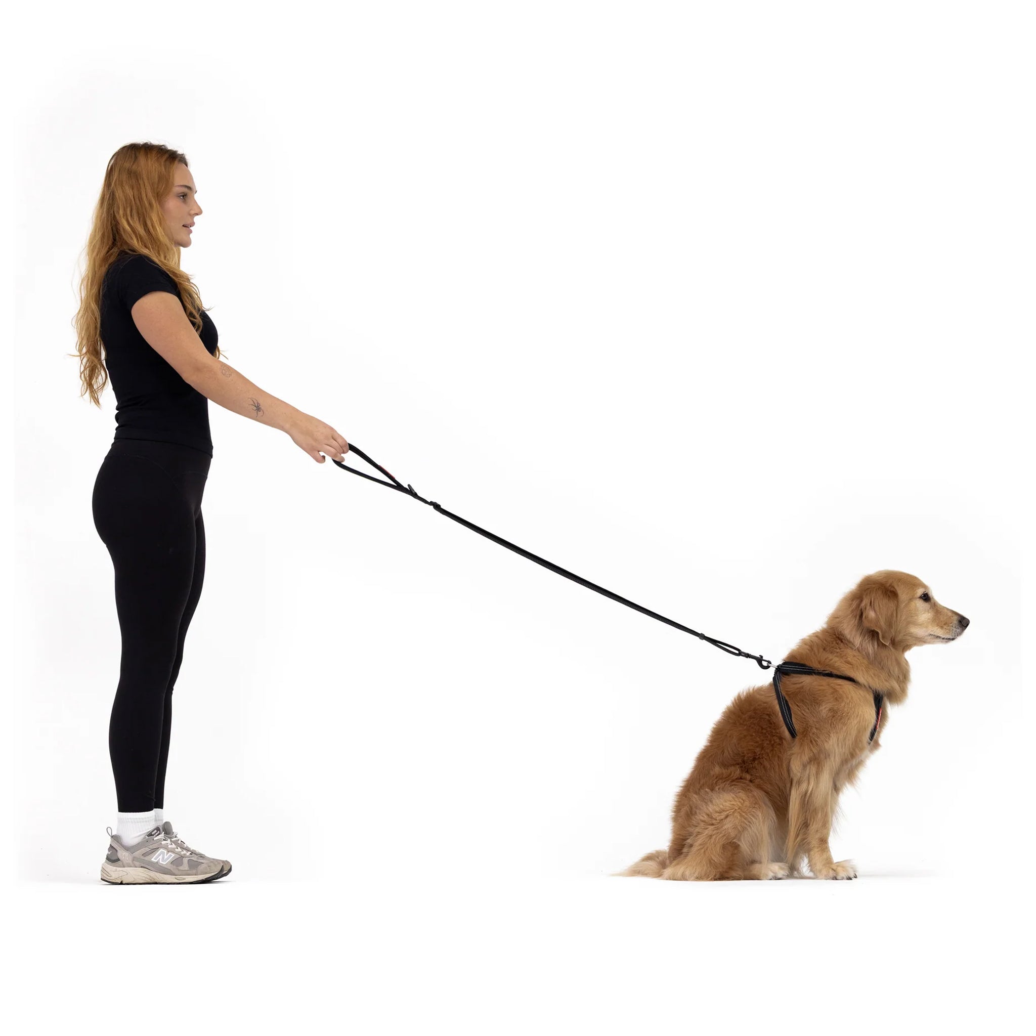 EzyDog Essential Dog Leash