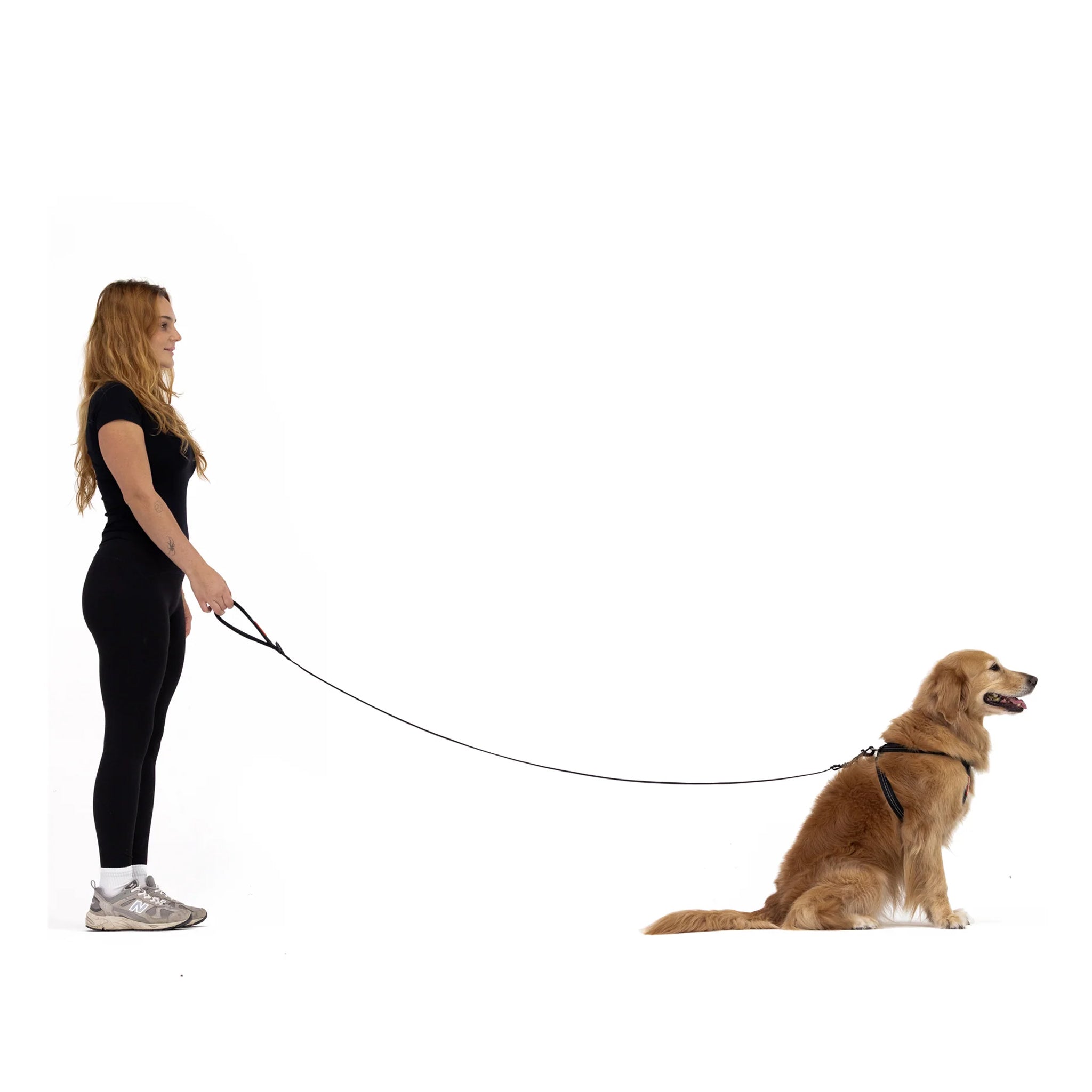 EzyDog Essential Dog Leash