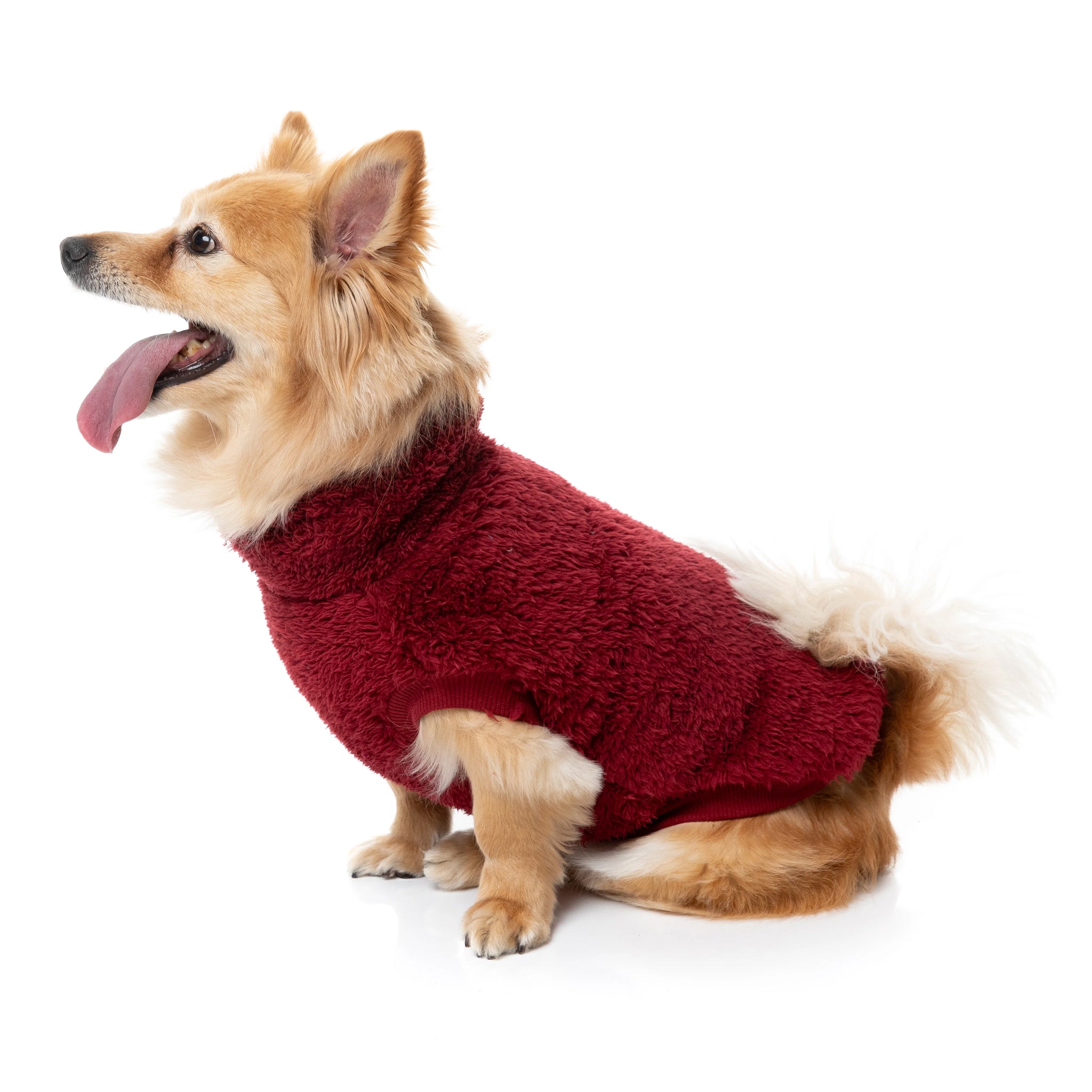 FuzzYard Turtle Teddy Sweater