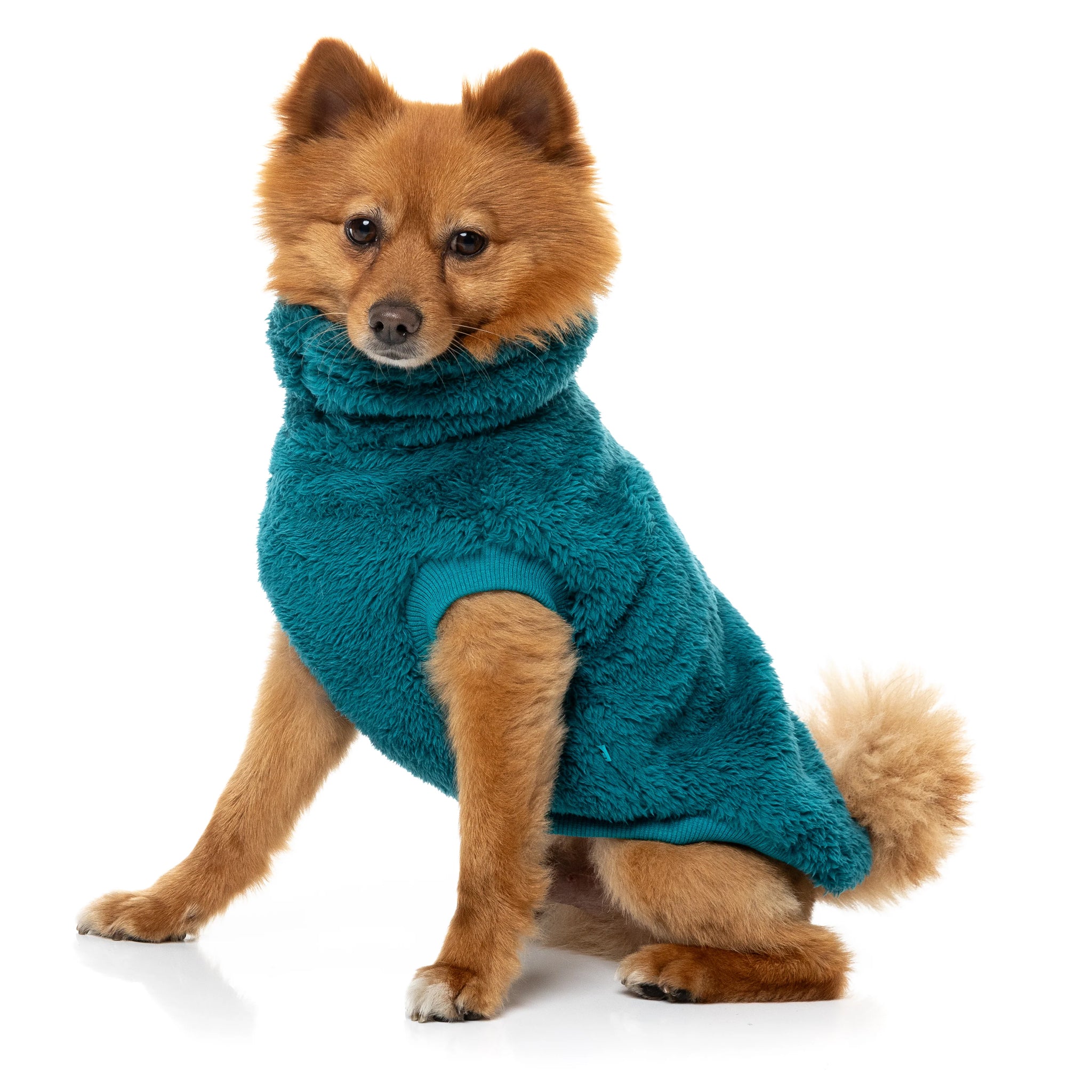 FuzzYard Turtle Teddy Sweater