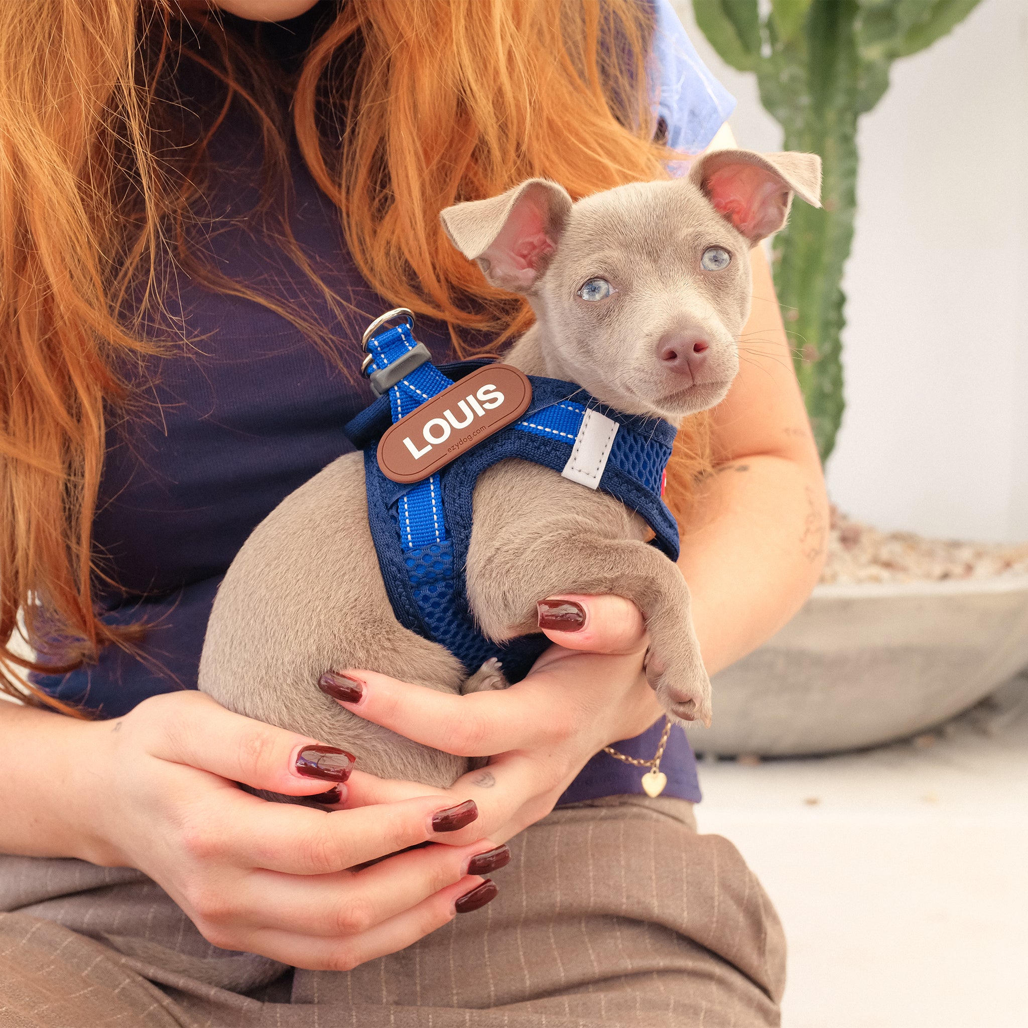 Ezydog FormFit Harness