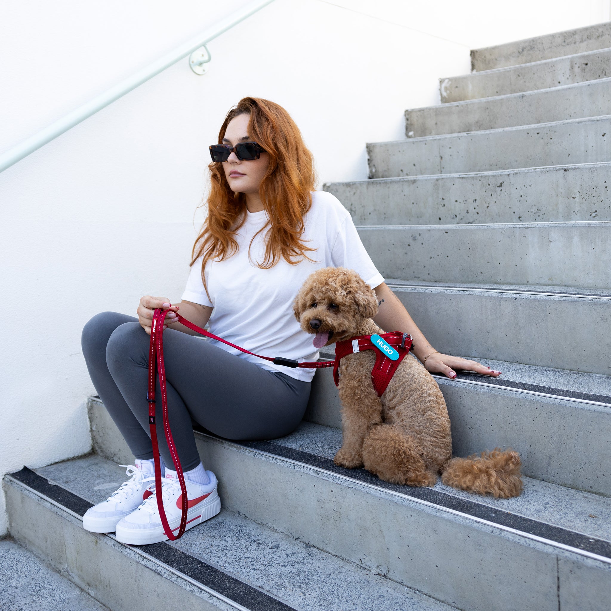 Ezydog FormFit Harness
