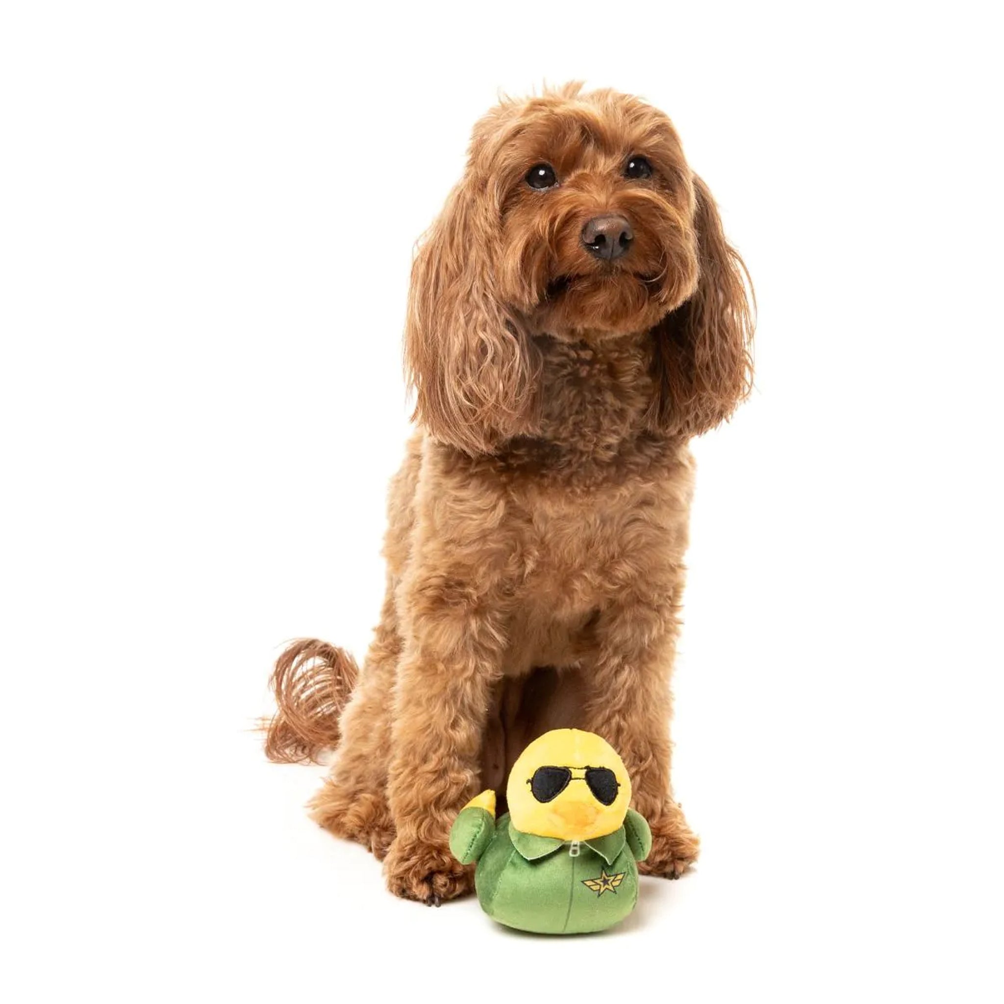 FuzzYard Waddle Squaddle Dog Toys