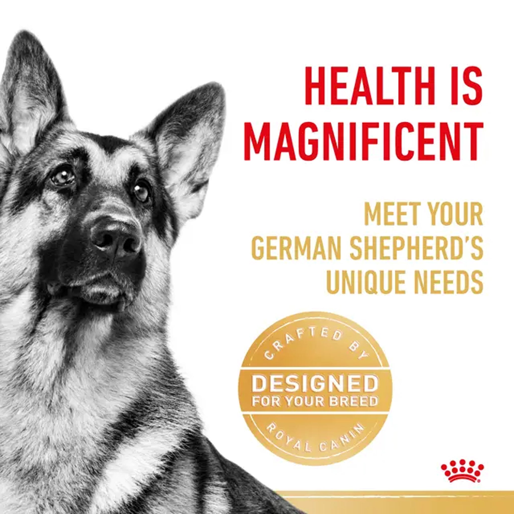 Royal Canin Dog German Shepherd