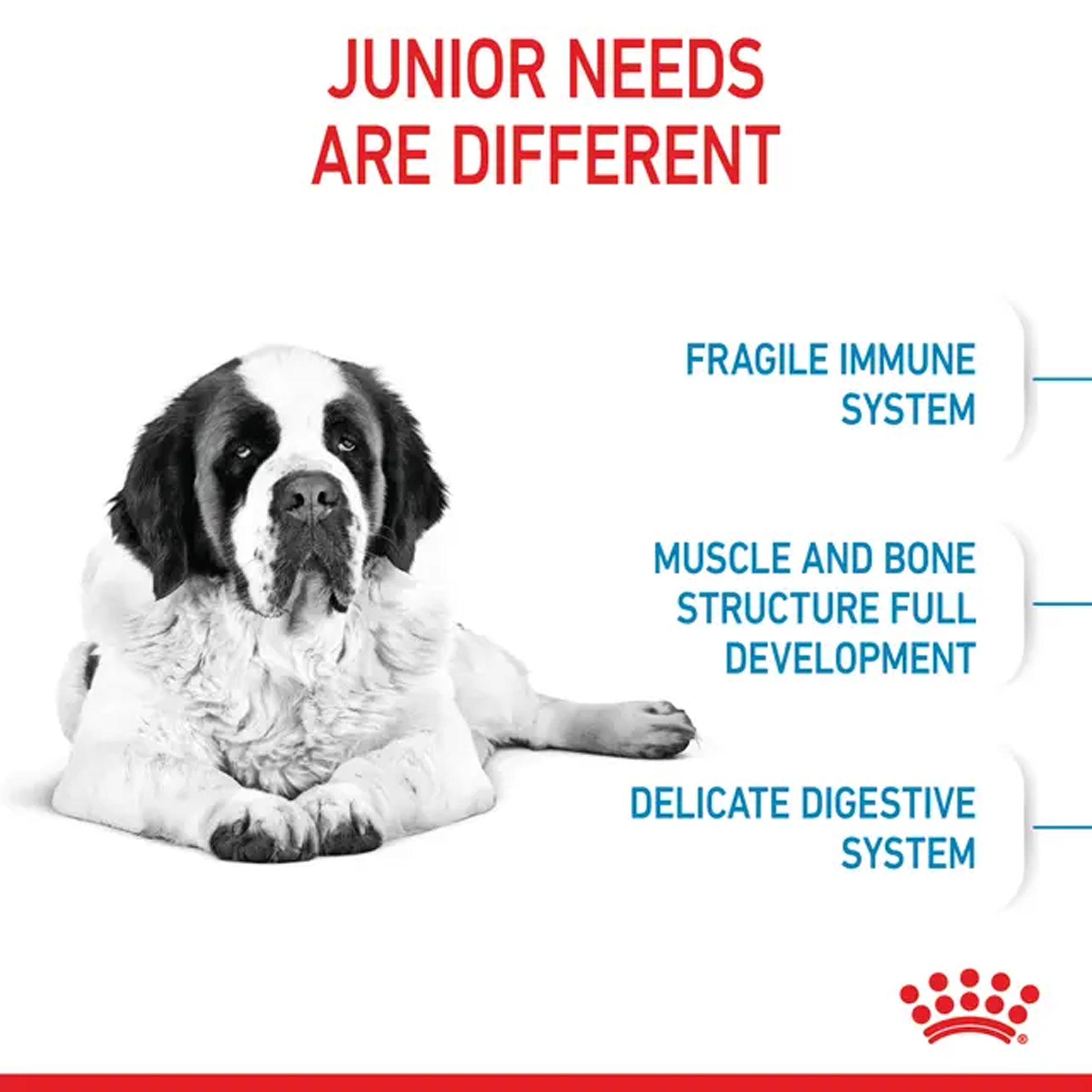 Royal Canin Dog Giant Junior