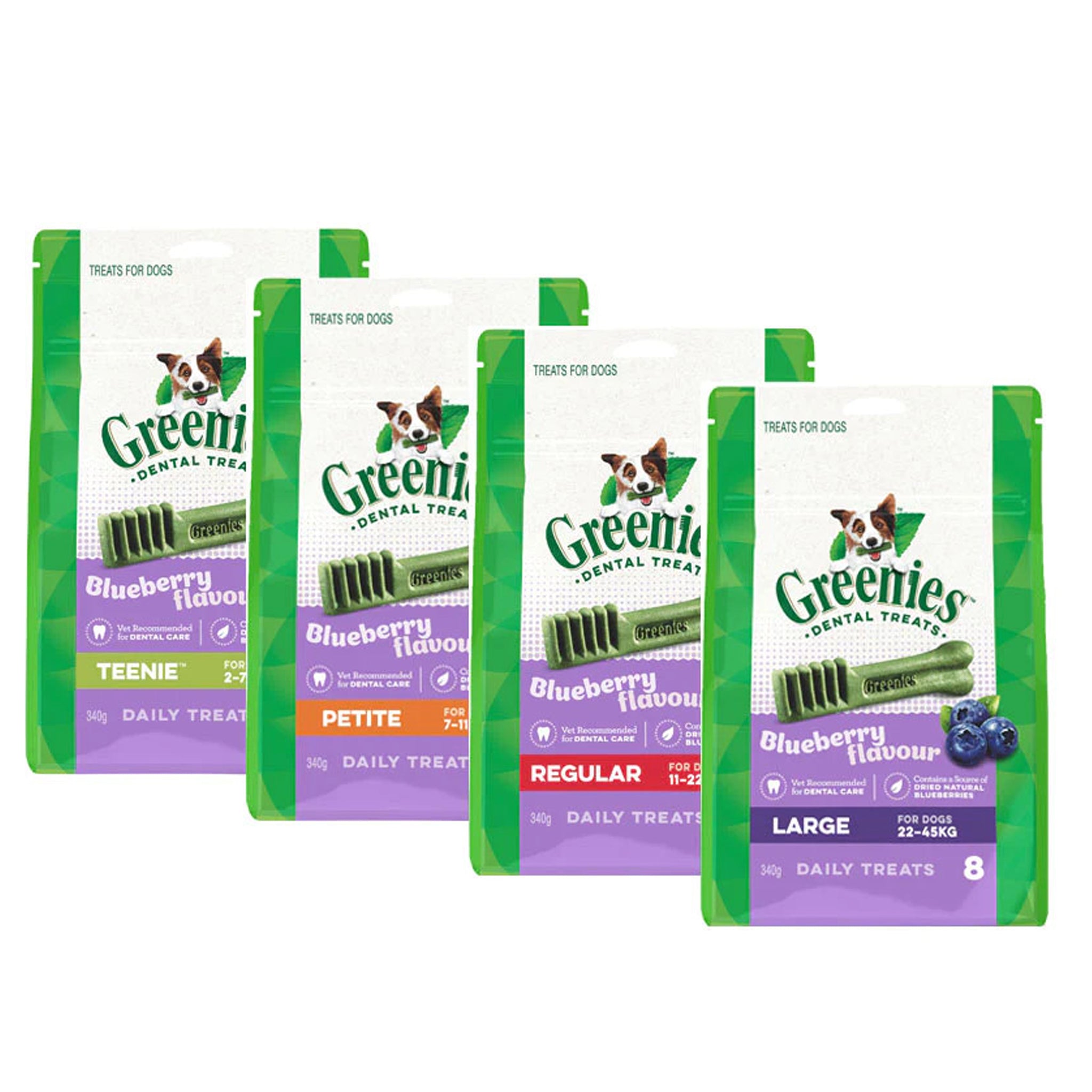 Greenies Blueberry Dental Chews for Dogs – Daily Oral Care Treats (All Sizes)