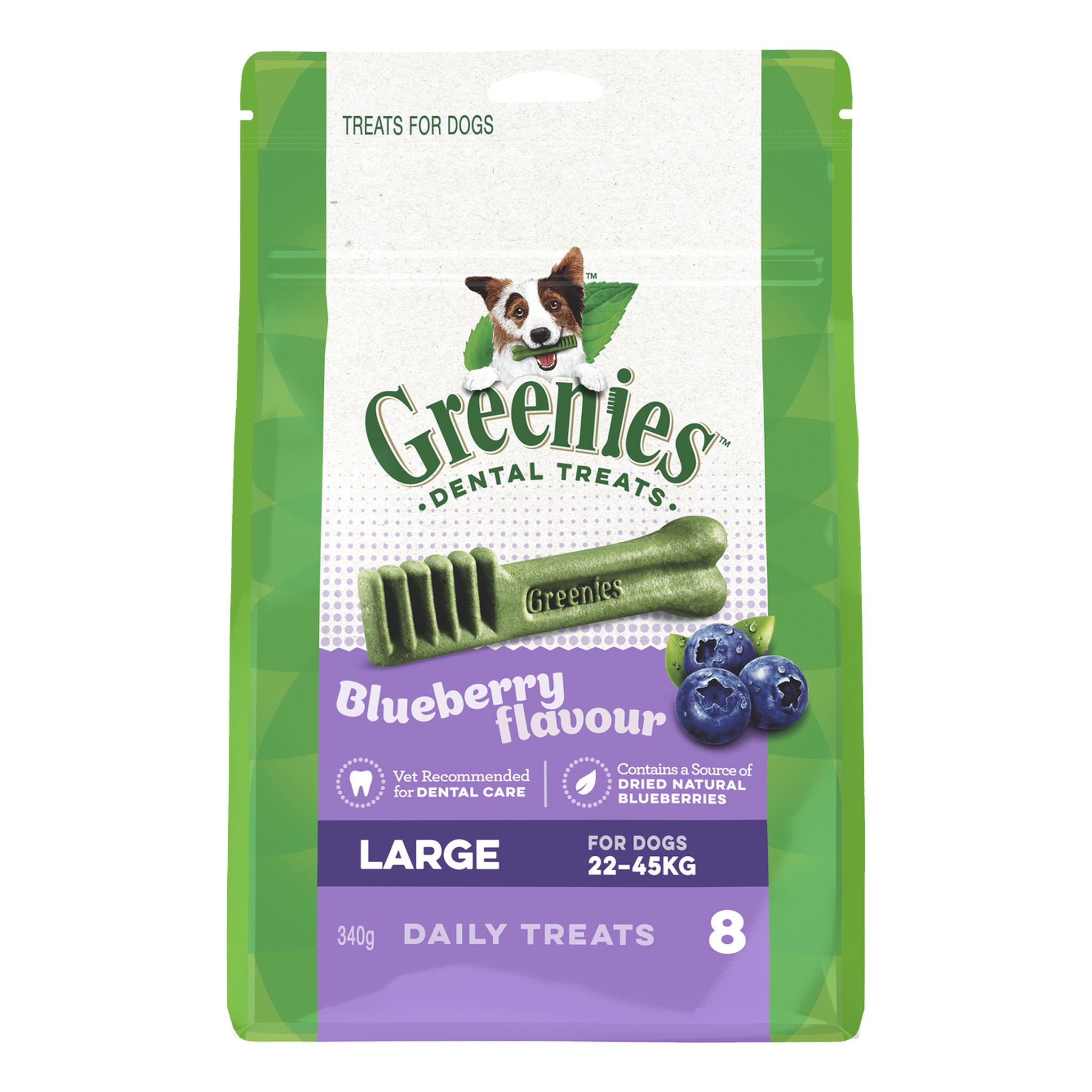 Greenies Blueberry Dental Chews for Dogs – Daily Oral Care Treats (All Sizes)