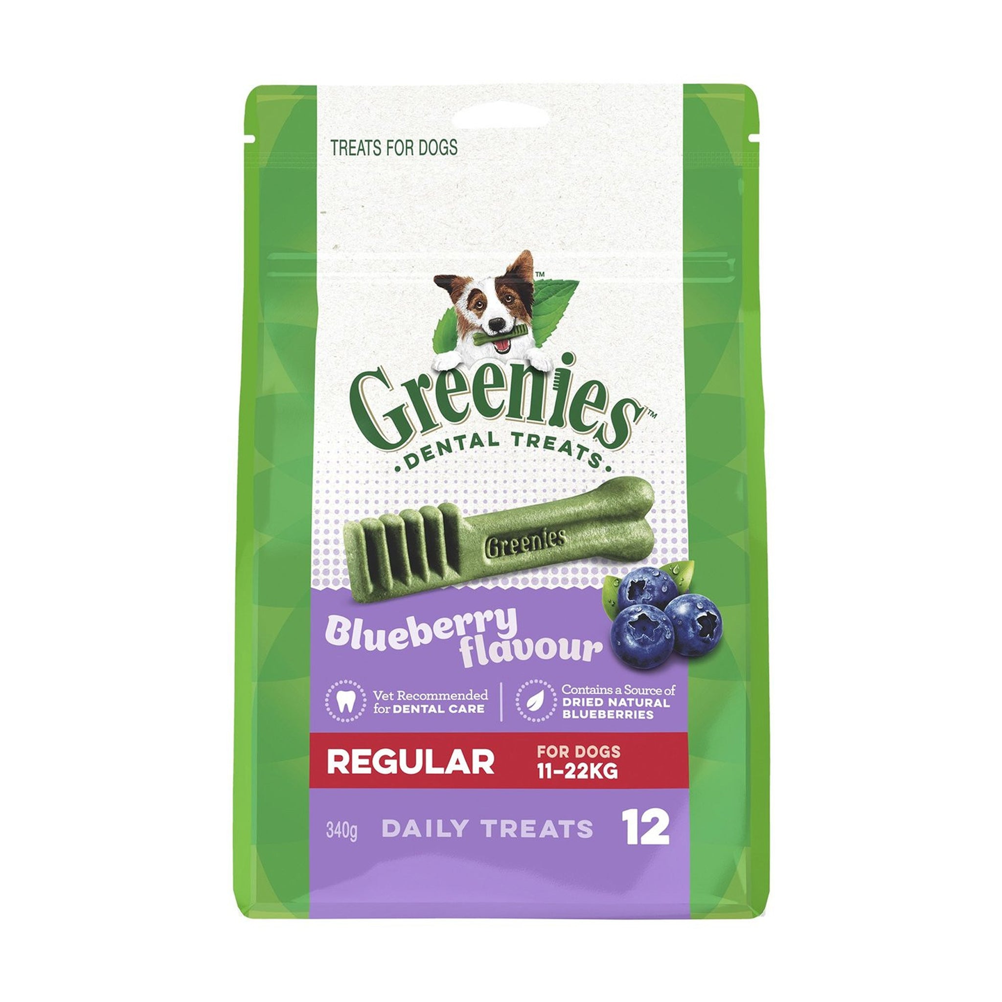 Greenies Blueberry Dental Chews for Dogs – Daily Oral Care Treats (All Sizes)