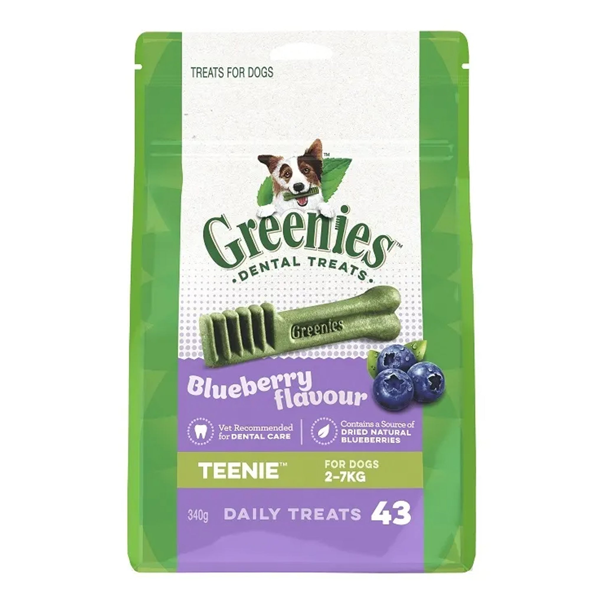 Greenies Blueberry Dental Chews for Dogs – Daily Oral Care Treats (All Sizes)