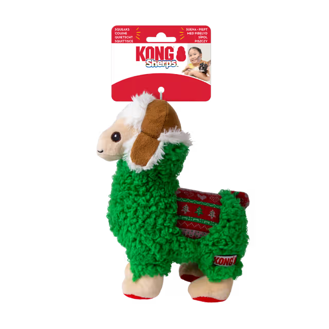 Kong Holiday Pet Toy