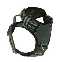 DOOG Neotech Harness