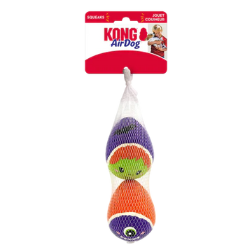 KONG Halloween Airdog Squeaker Egg 2-pk Medium