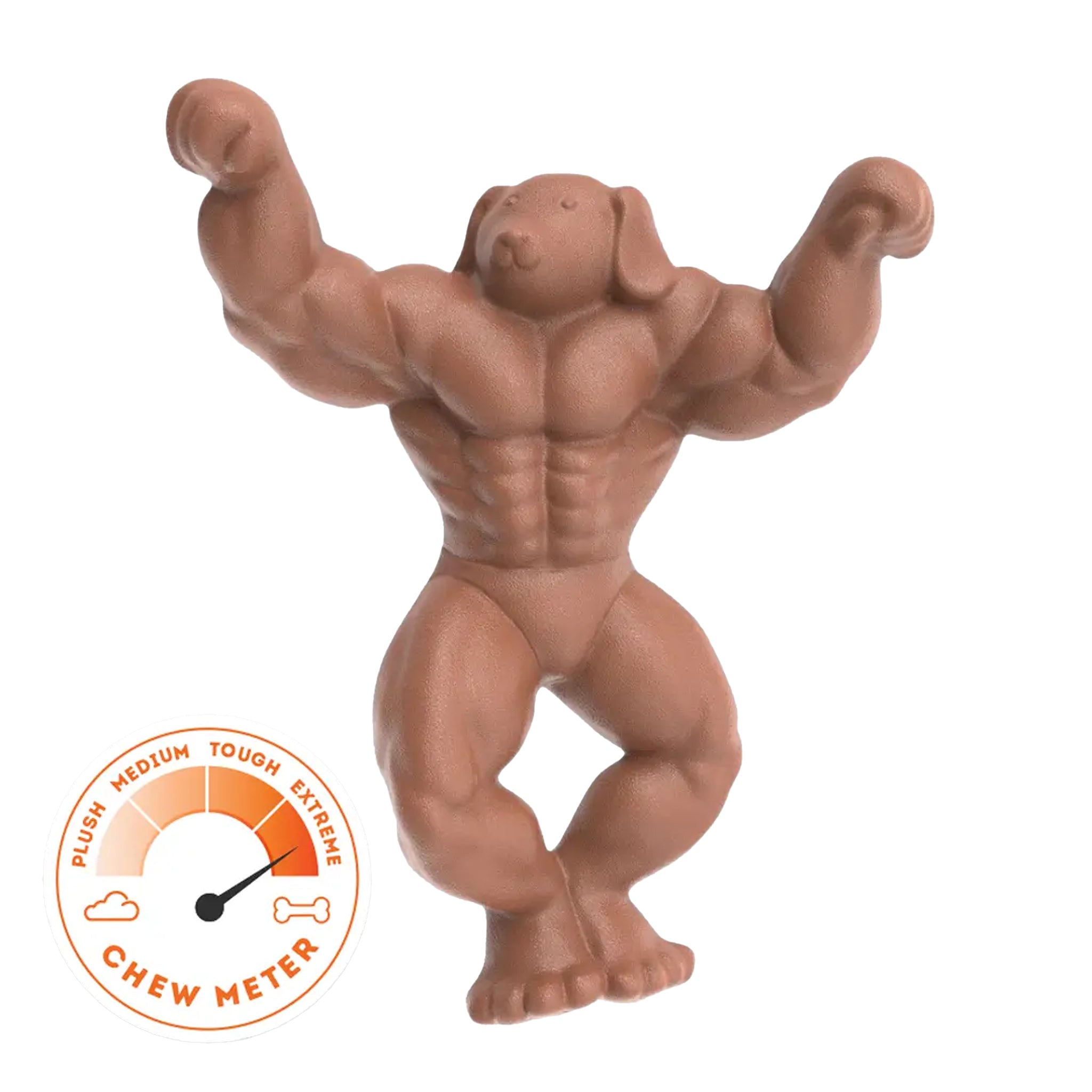 Happy Staffy Staffy Schwarzenegger