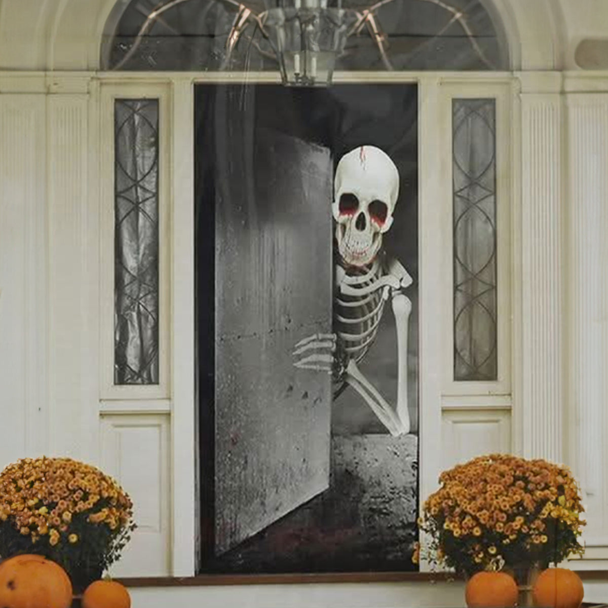 Horror Doorway Curtain 1.8m Assorted