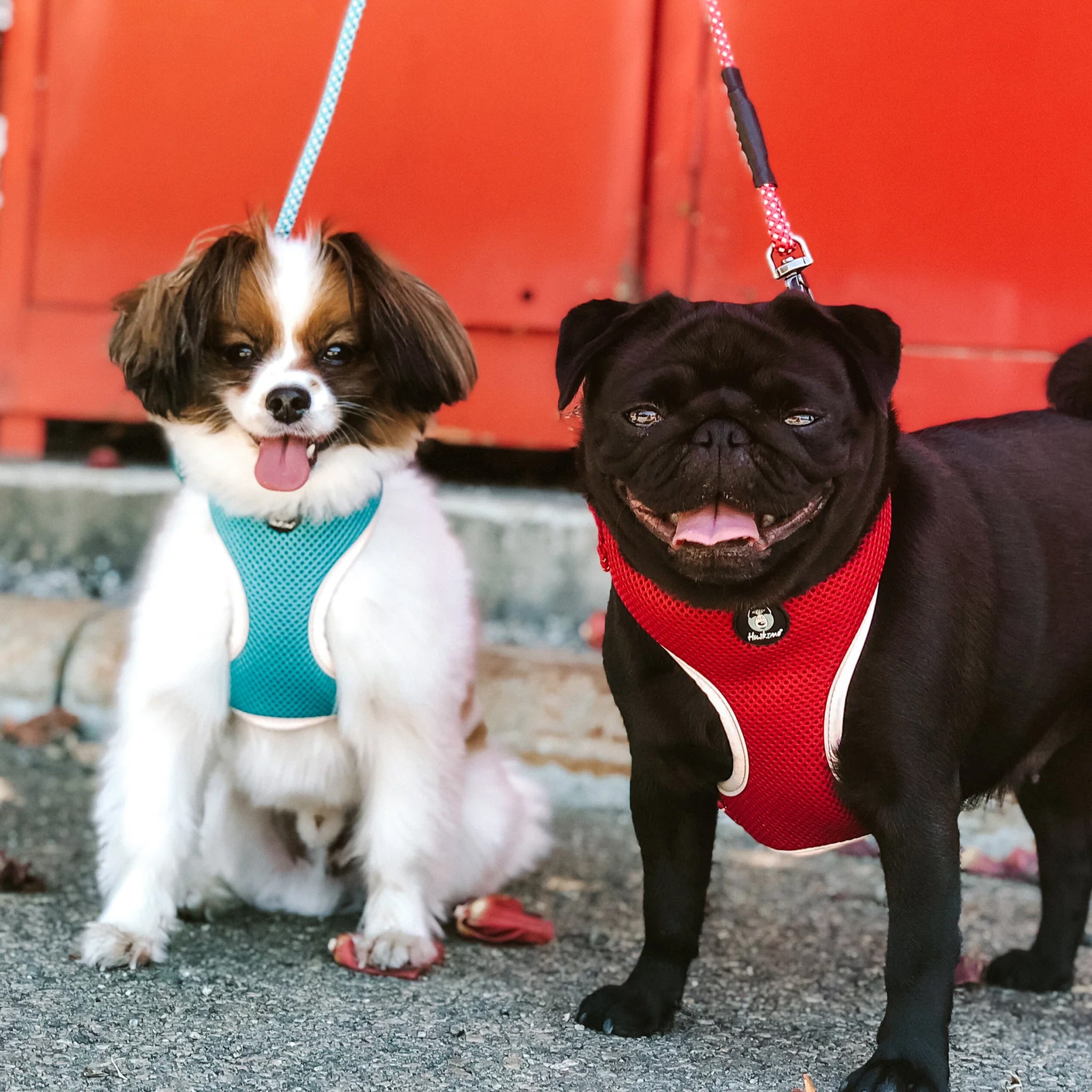 Huskimo Harness  Easyfit
