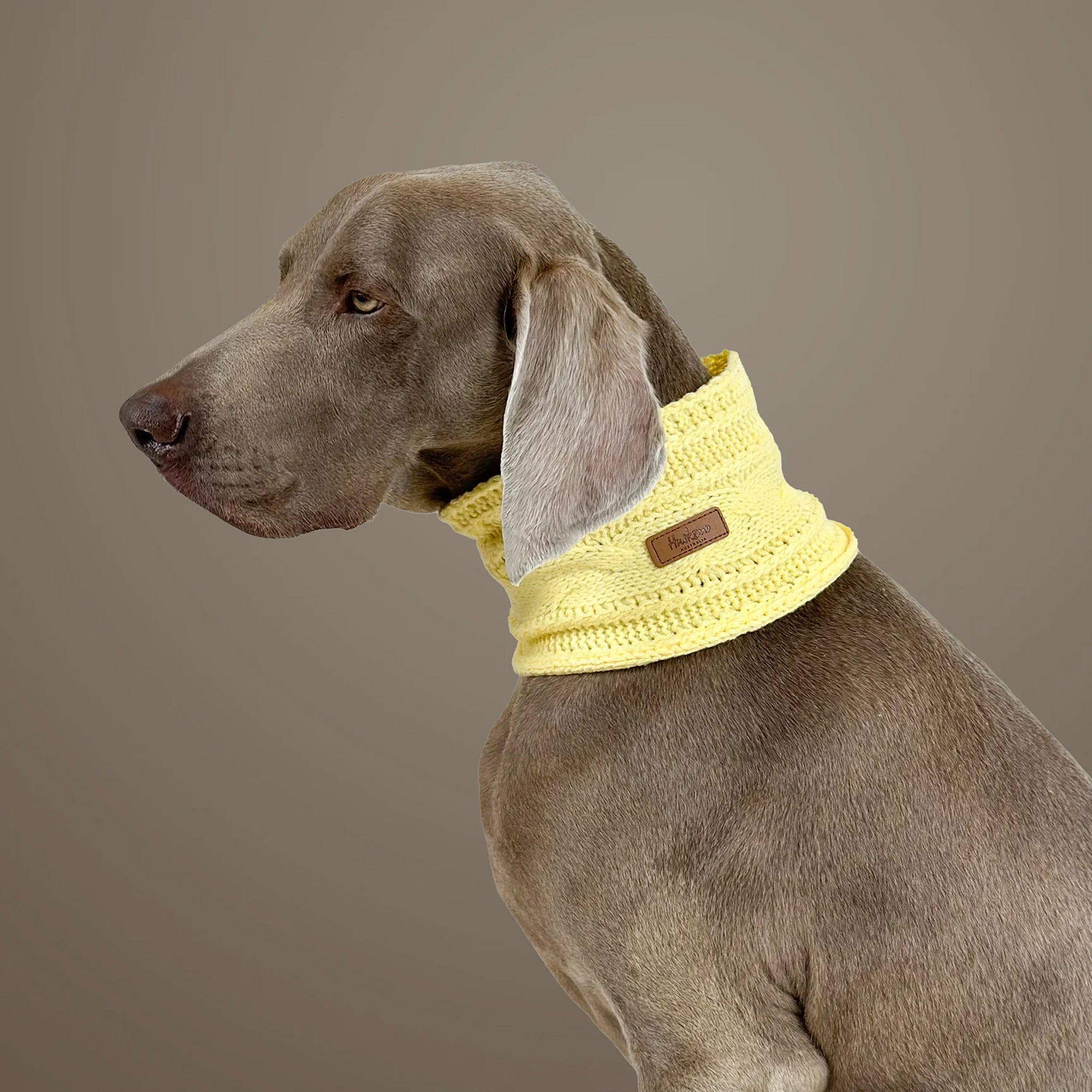 Huskimo Dog Snood