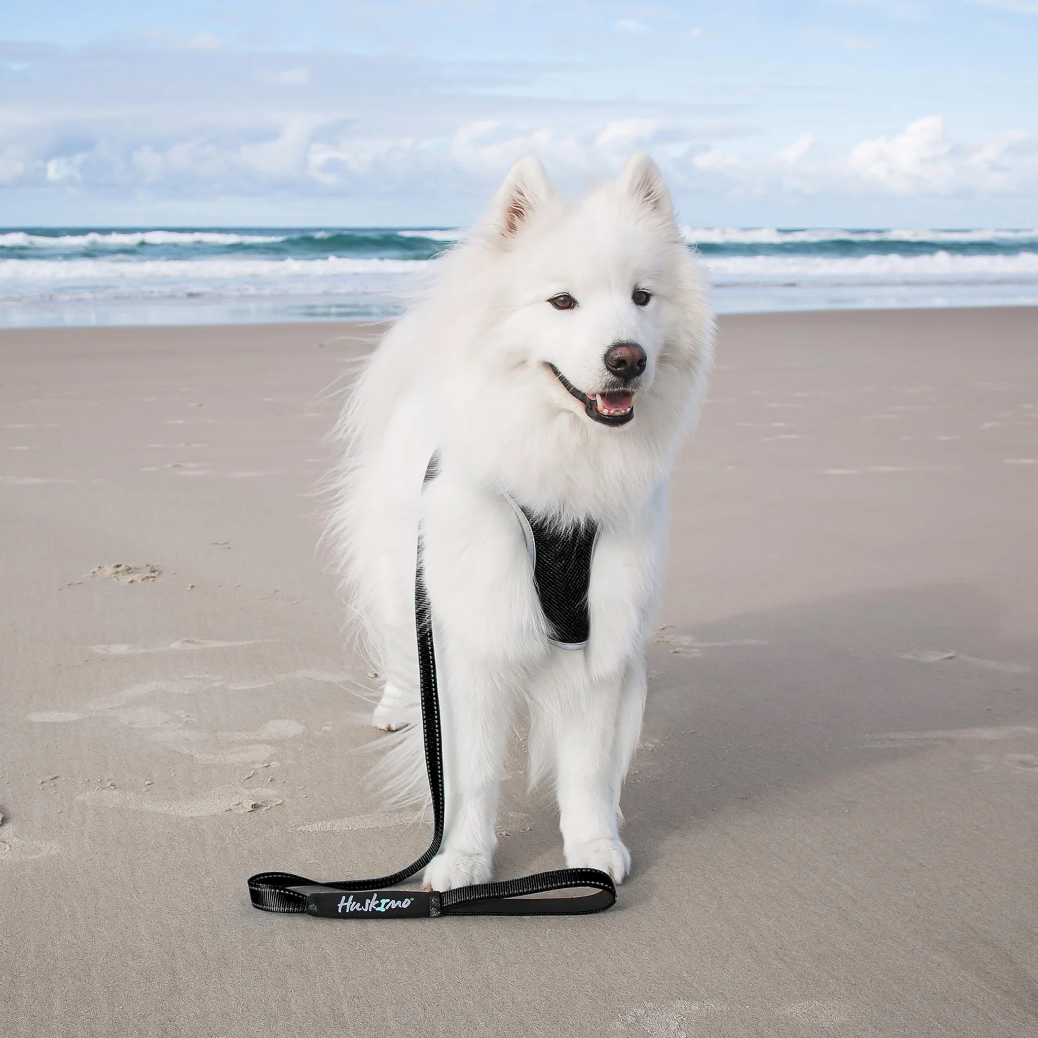 Huskimo Trekpro Lead