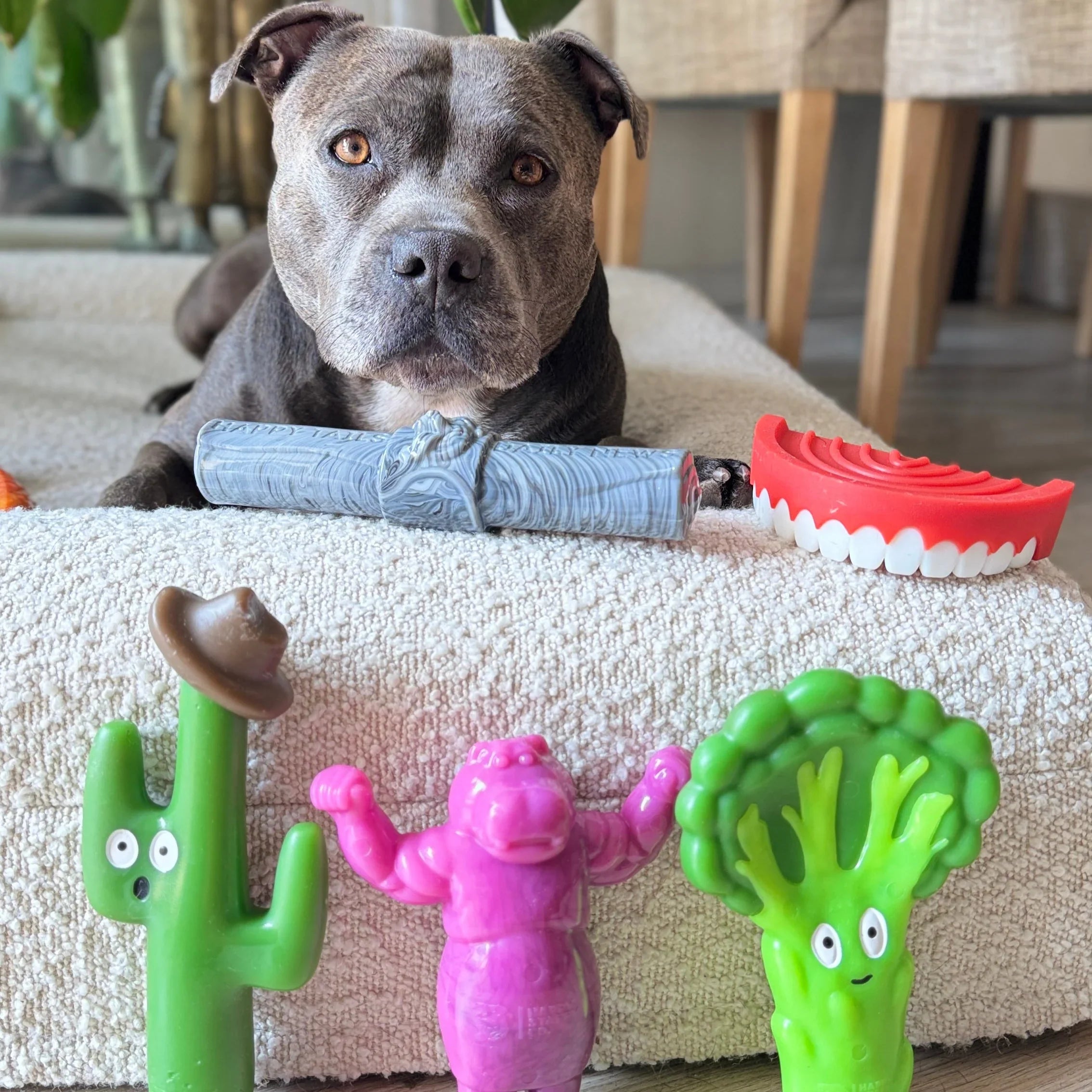 Happy Staffy Broccoli Crunch