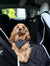 DOOG Car Seat Cover