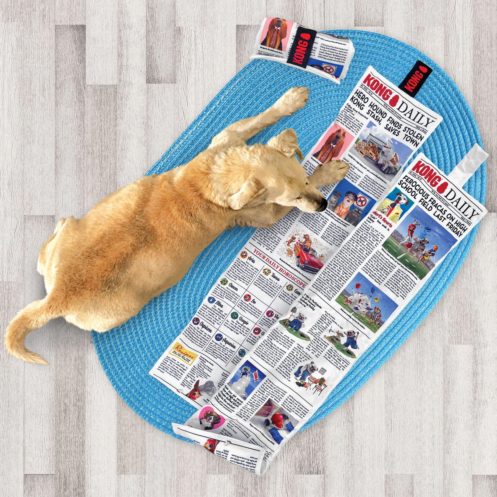 KONG Newspaper Soft Crinkly Dog Toy