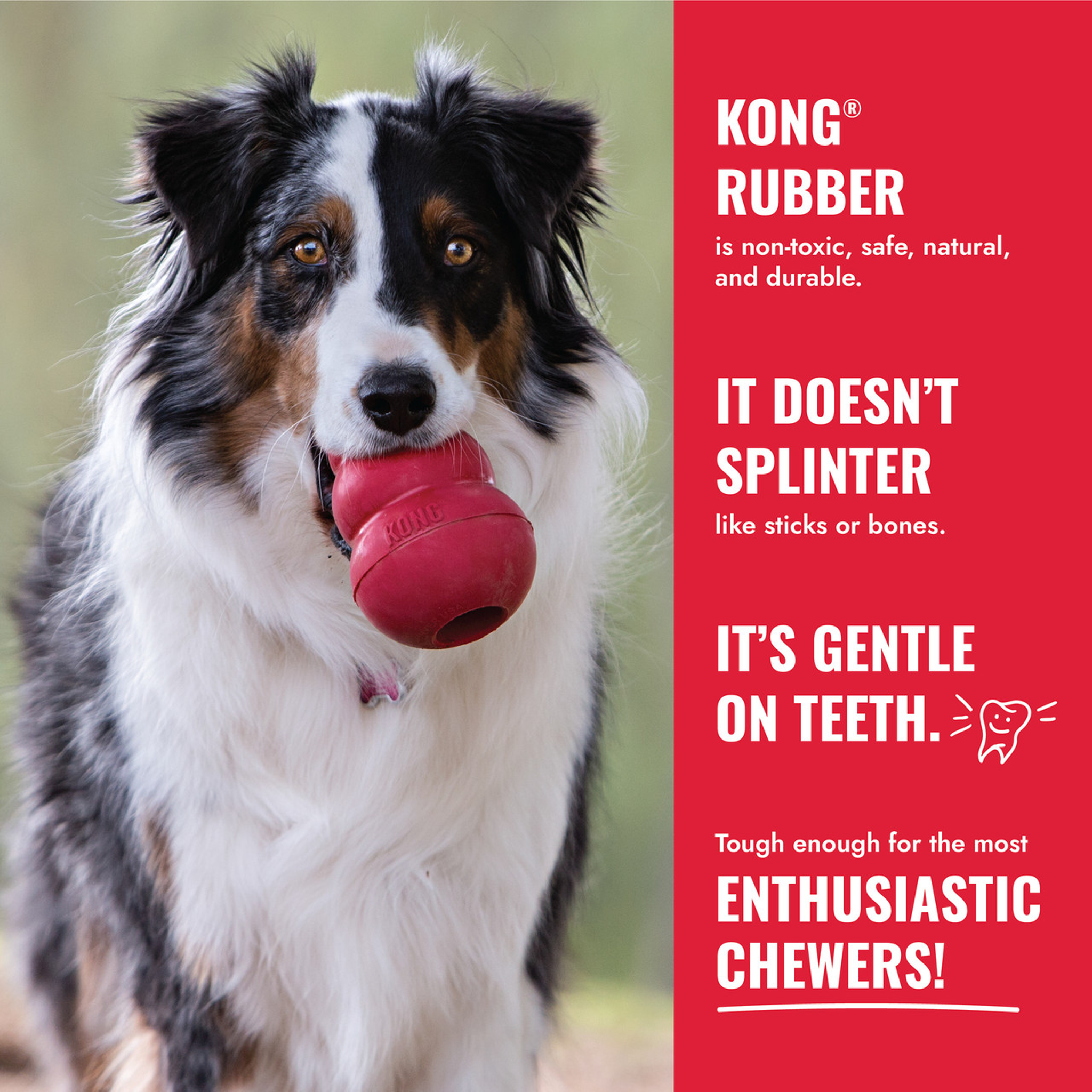 KONG Dog Classic