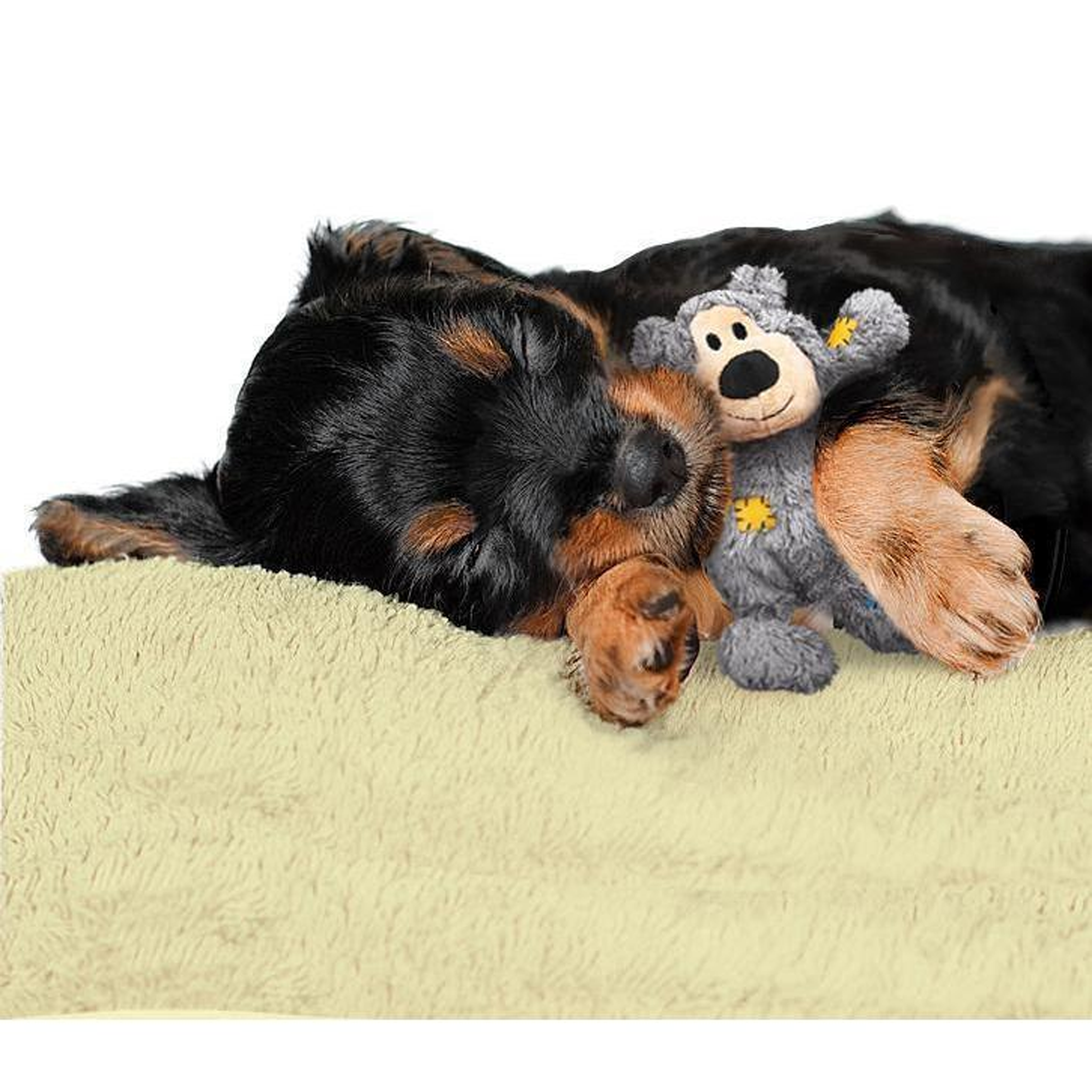 KONG Dog Wild Knot Bear