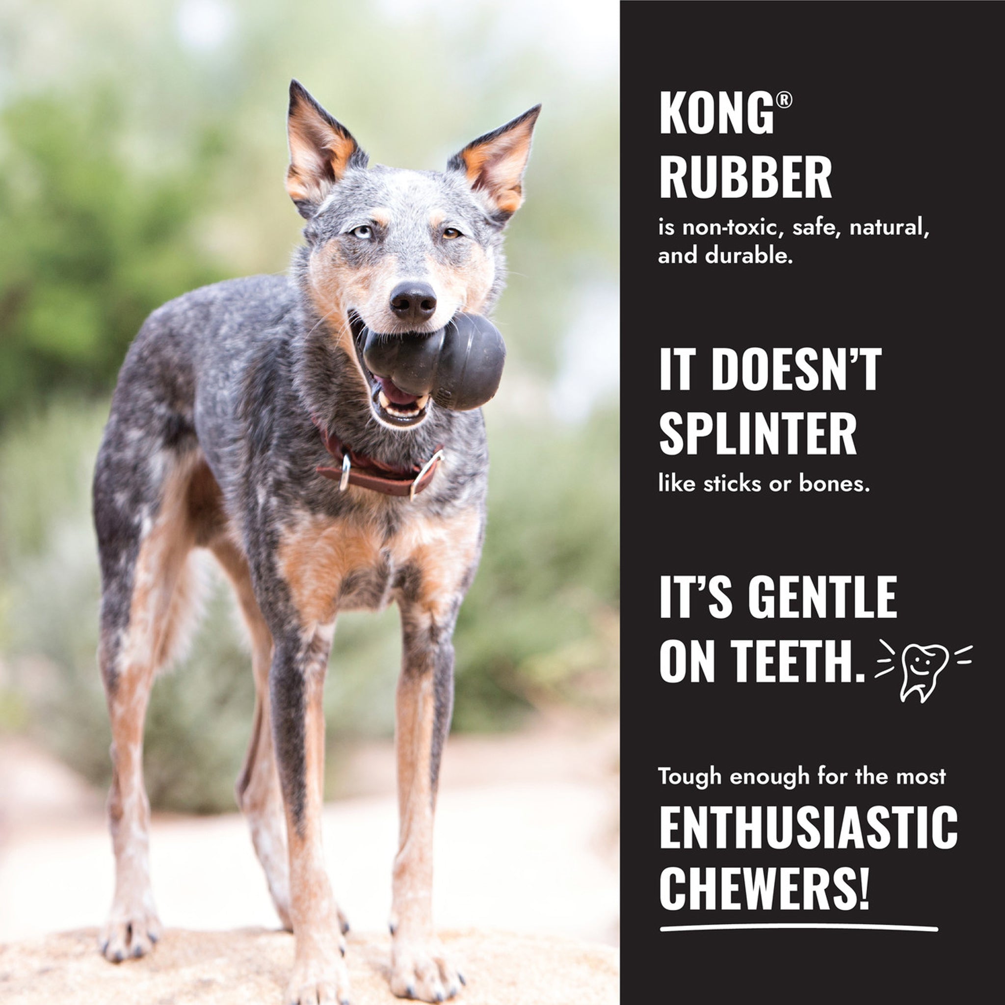 KONG Dog Extreme Ball