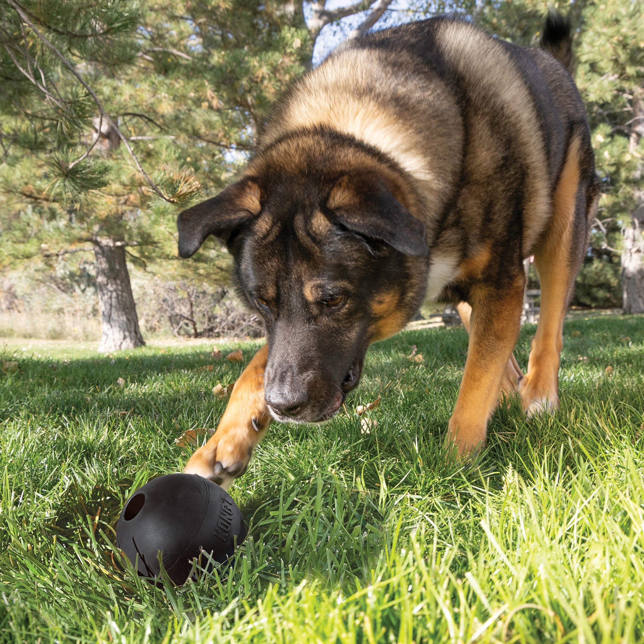 KONG Dog Extreme Ball