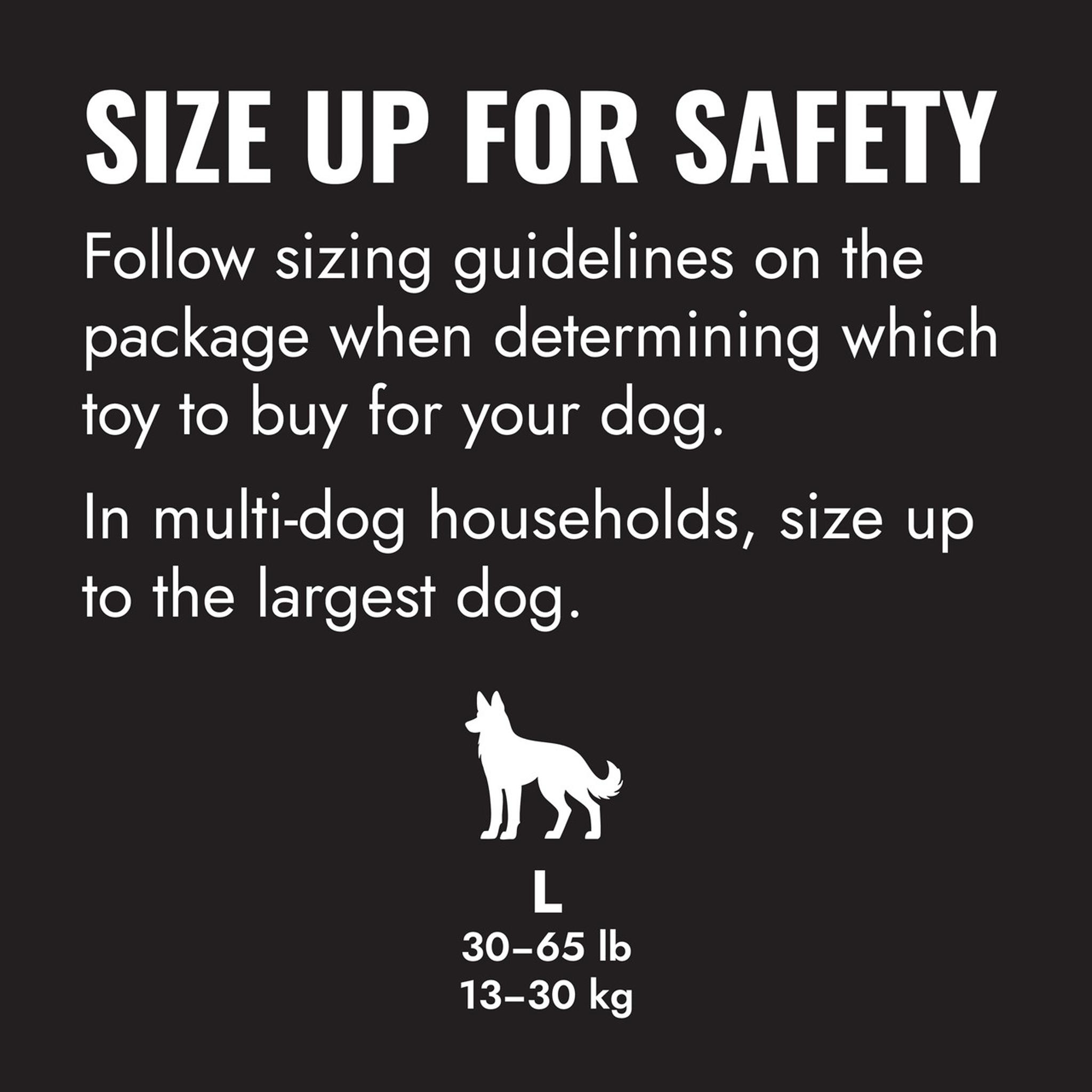 KONG Dog Flyer