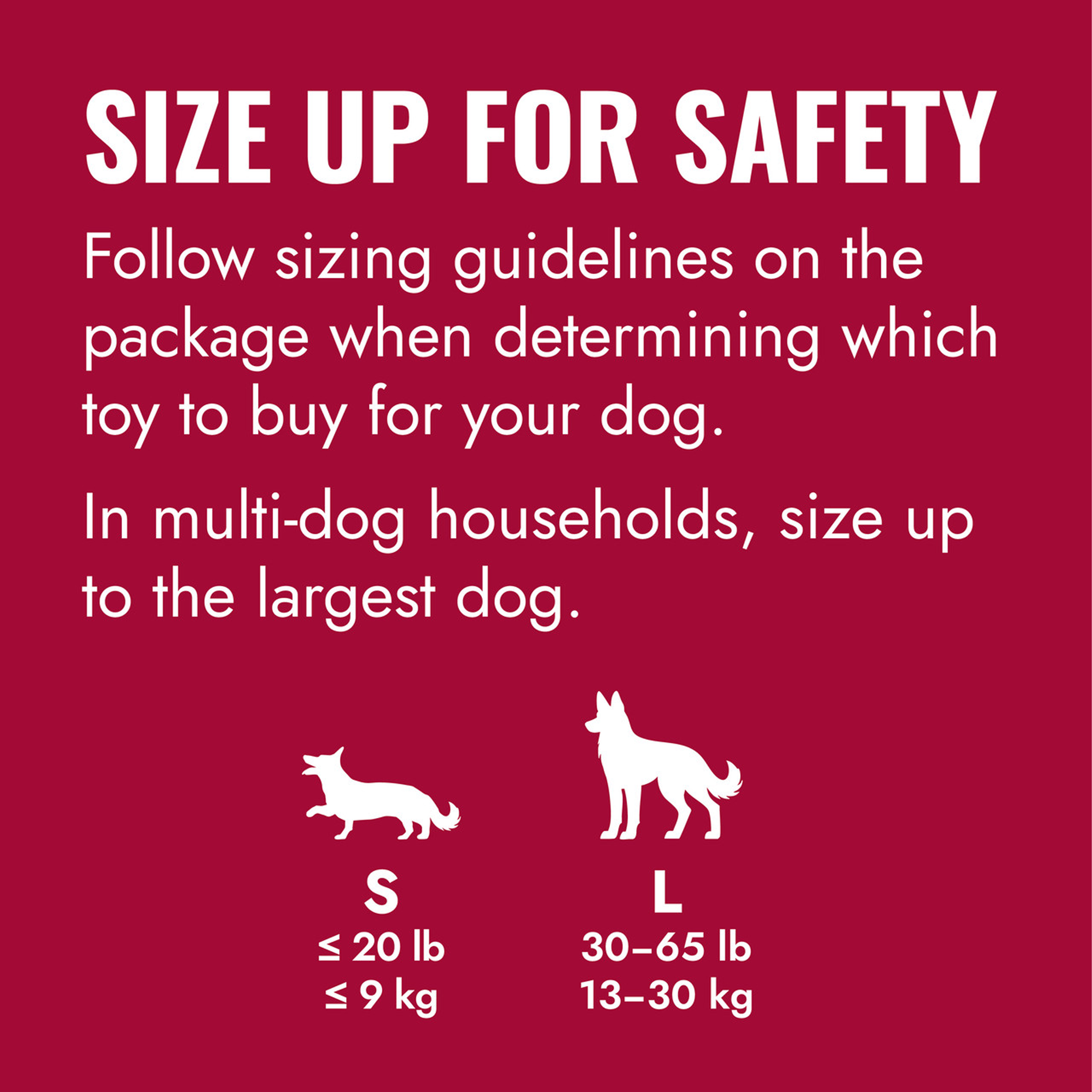 KONG Dog Flyer