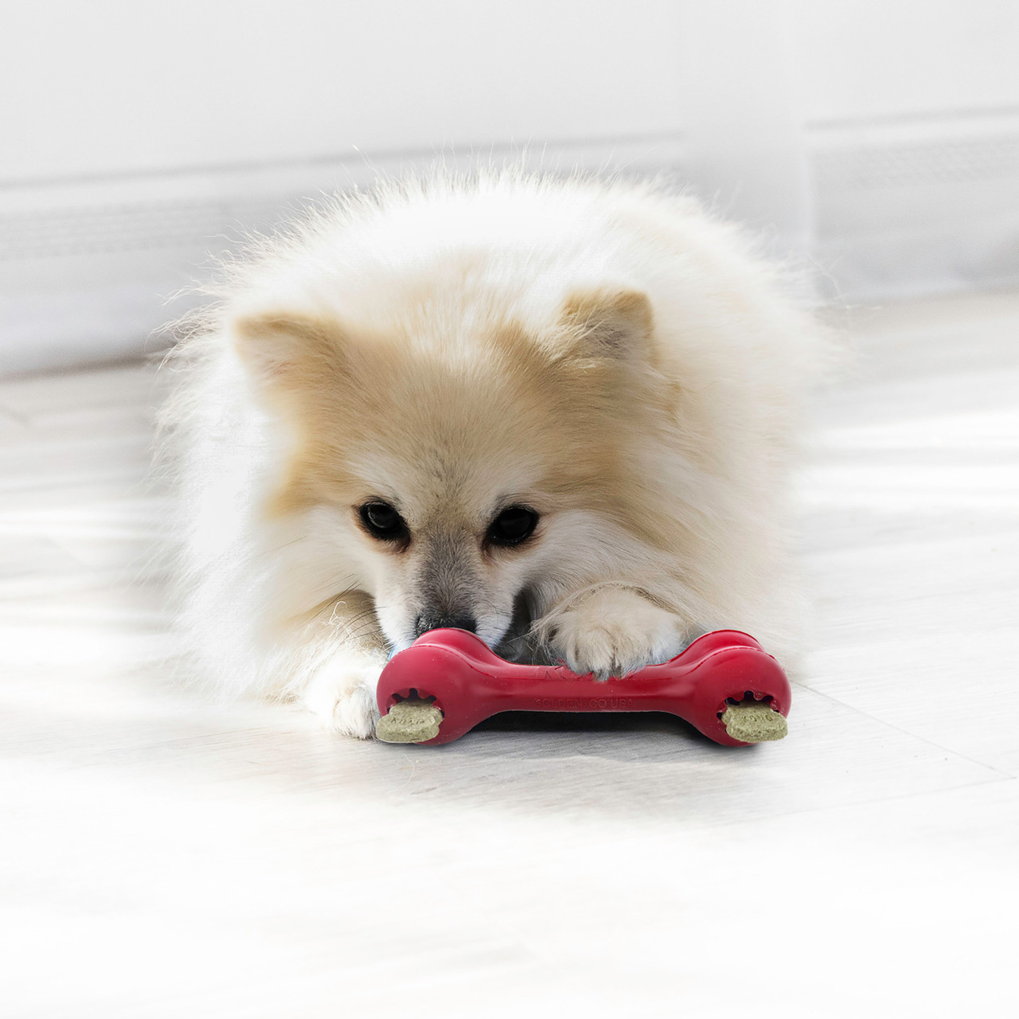KONG Dog Goodie Bone