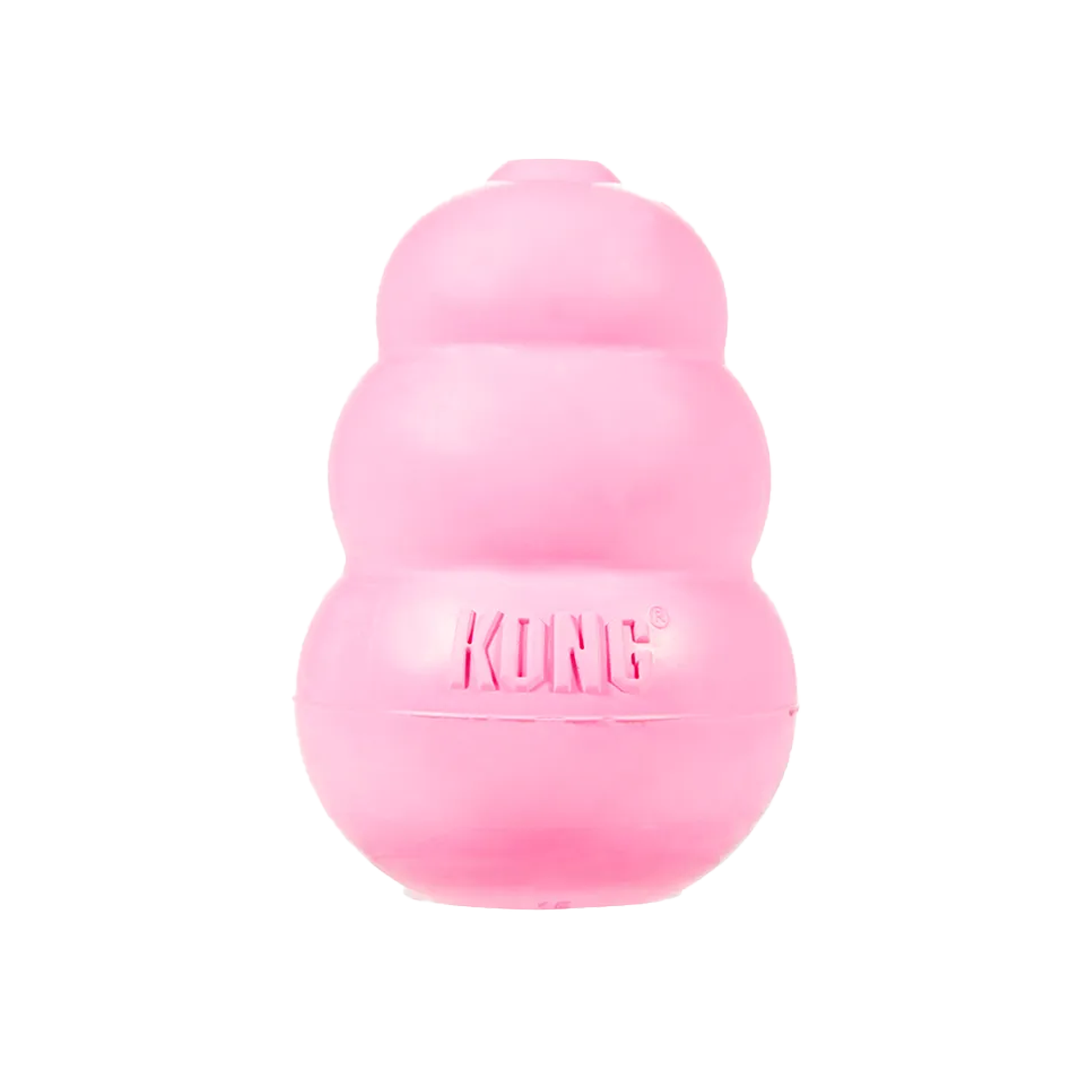 KONG Puppy