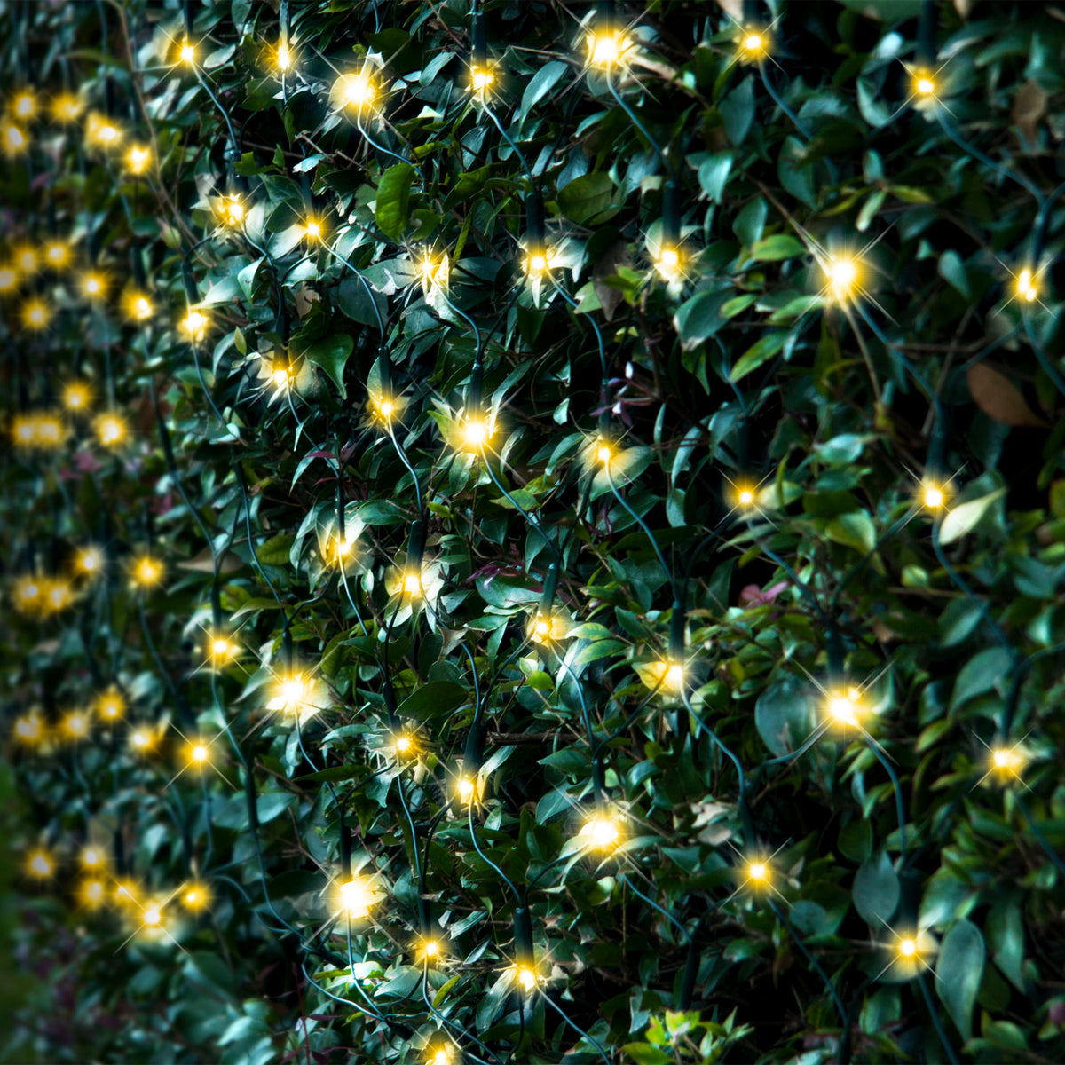 LED 180 Net Lights